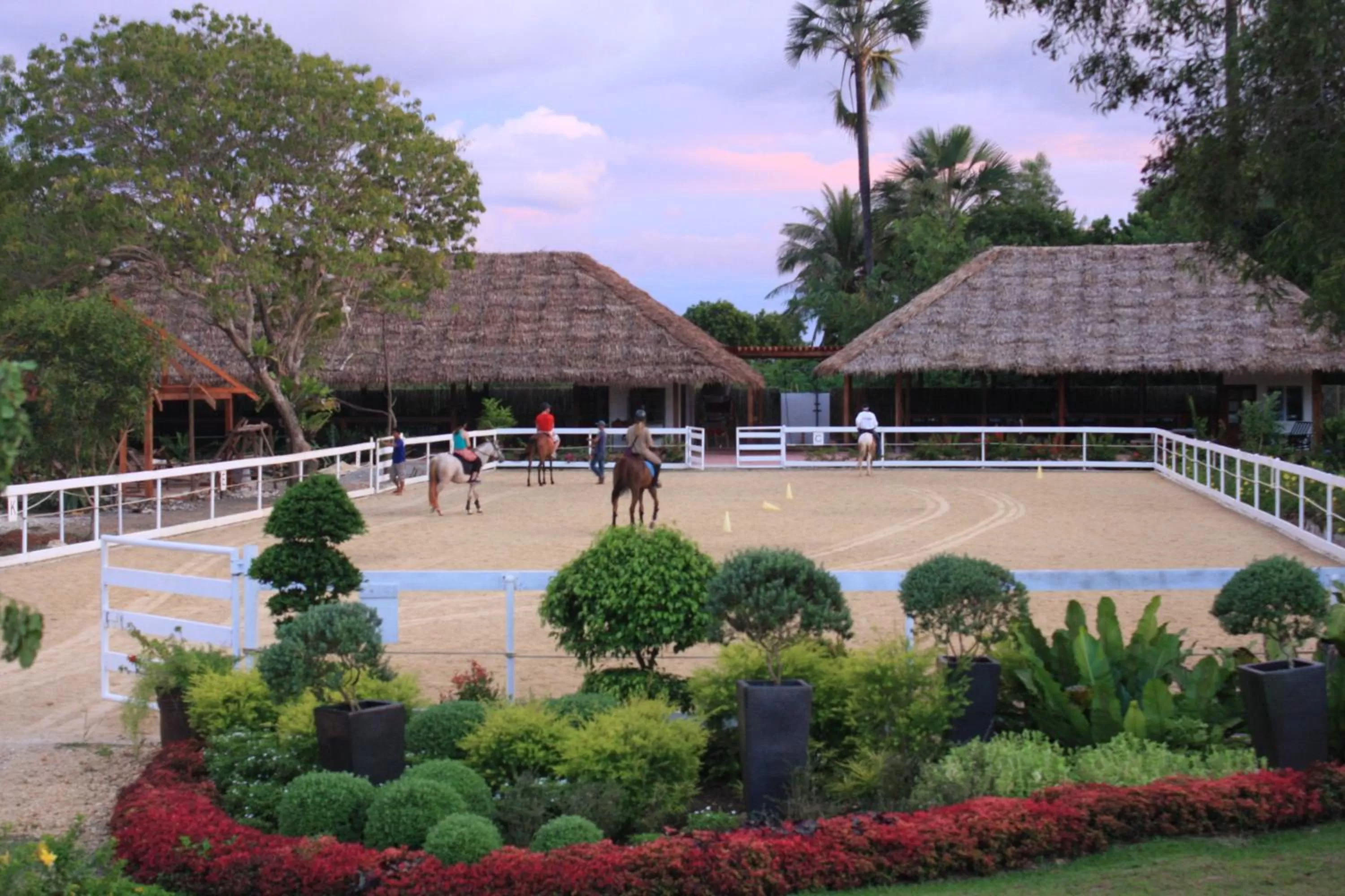 Horse-riding in Donatela Resort and Sanctuary
