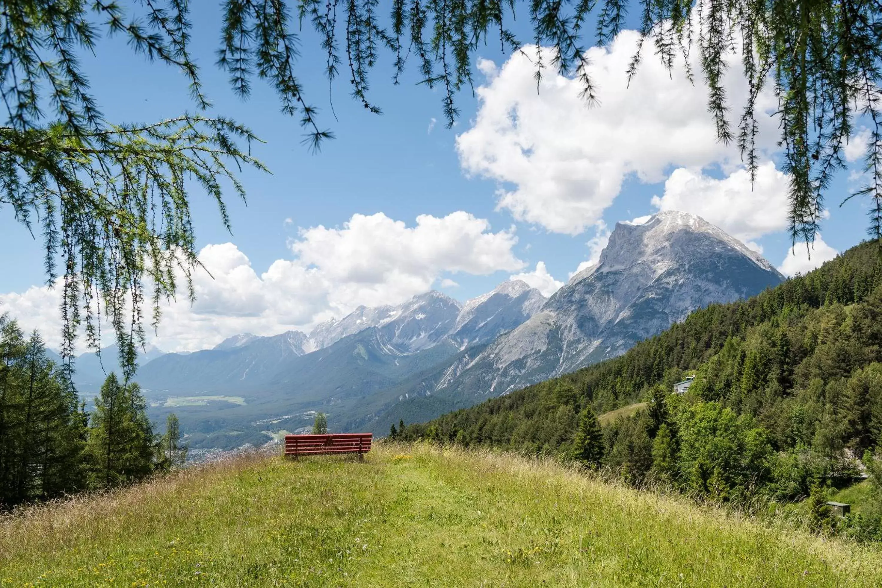 Garden, Natural Landscape in Inntaler Hof