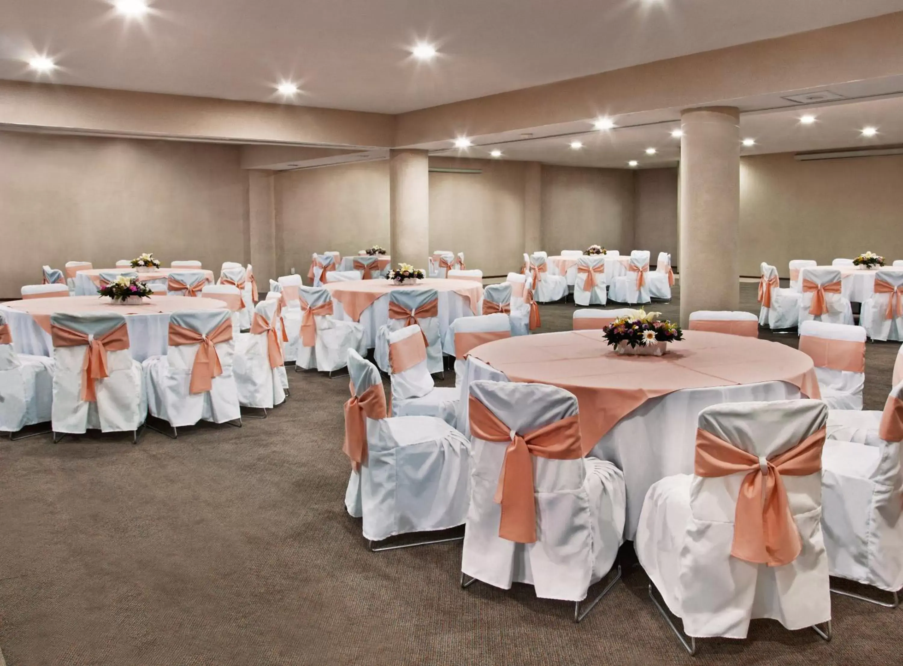 Banquet/Function facilities, Banquet Facilities in Hotel Francia Aguascalientes