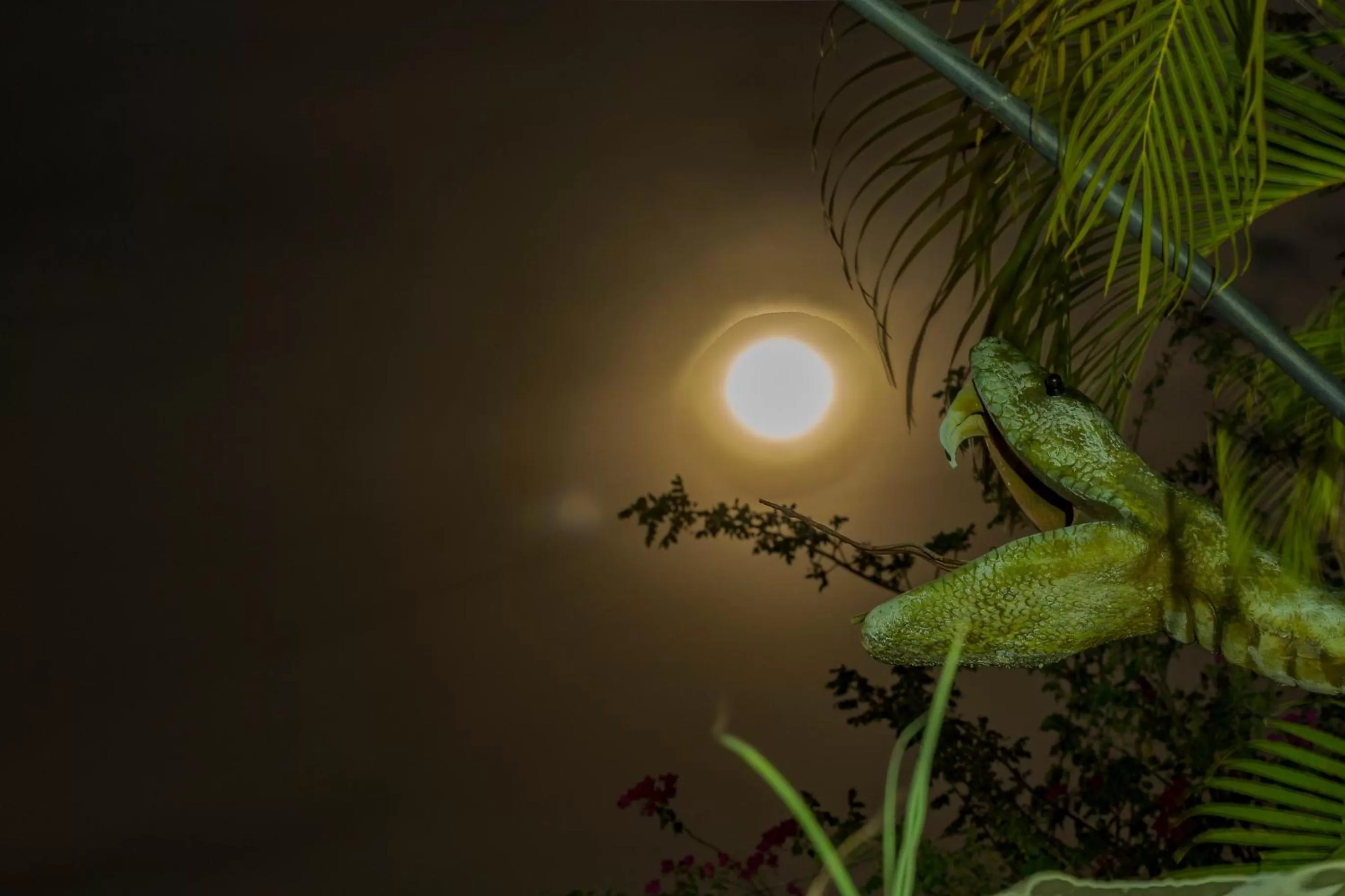 Night in El Peñon De Constantino - Tatacoa