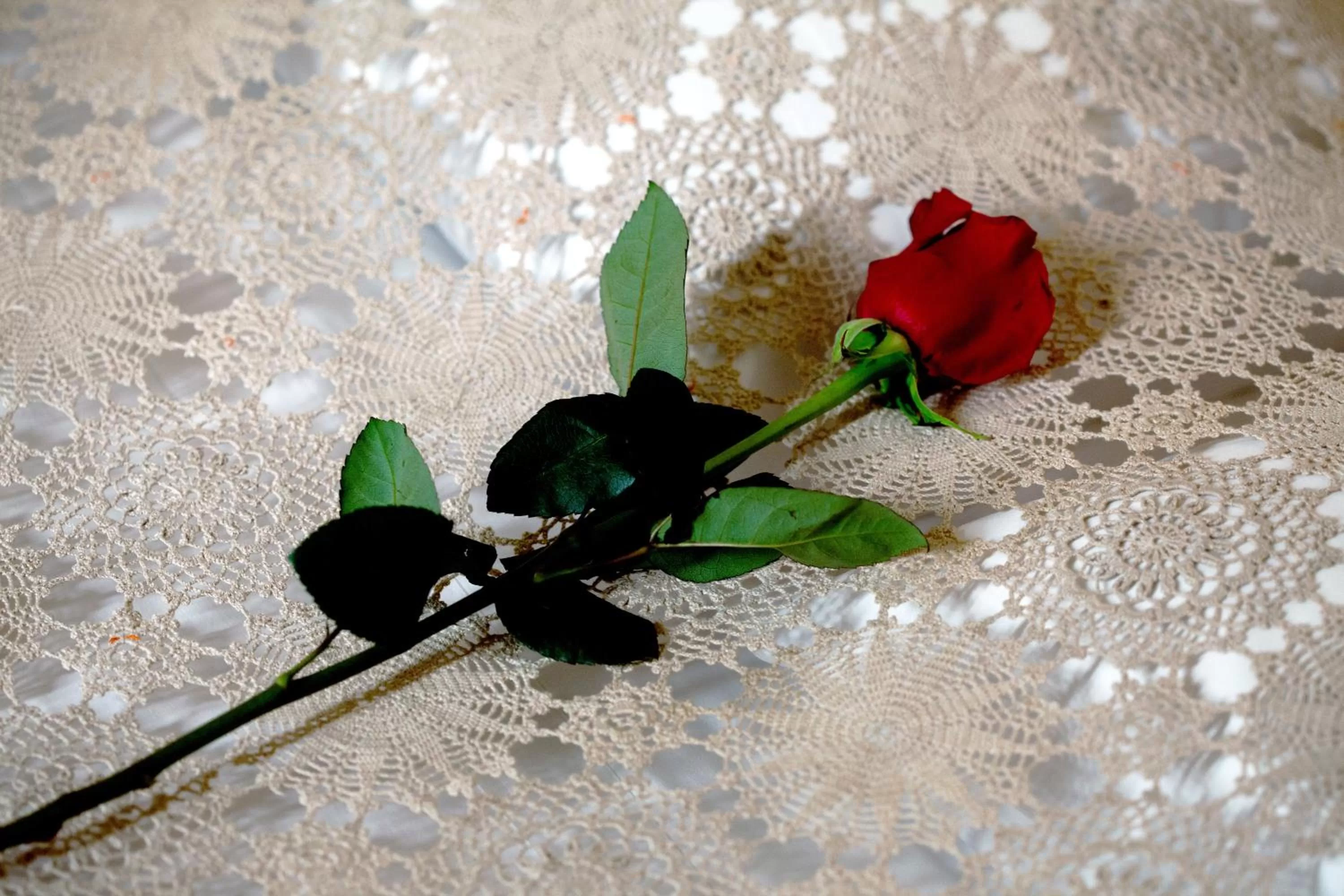 Spring in Hotel Villa Il Castagno