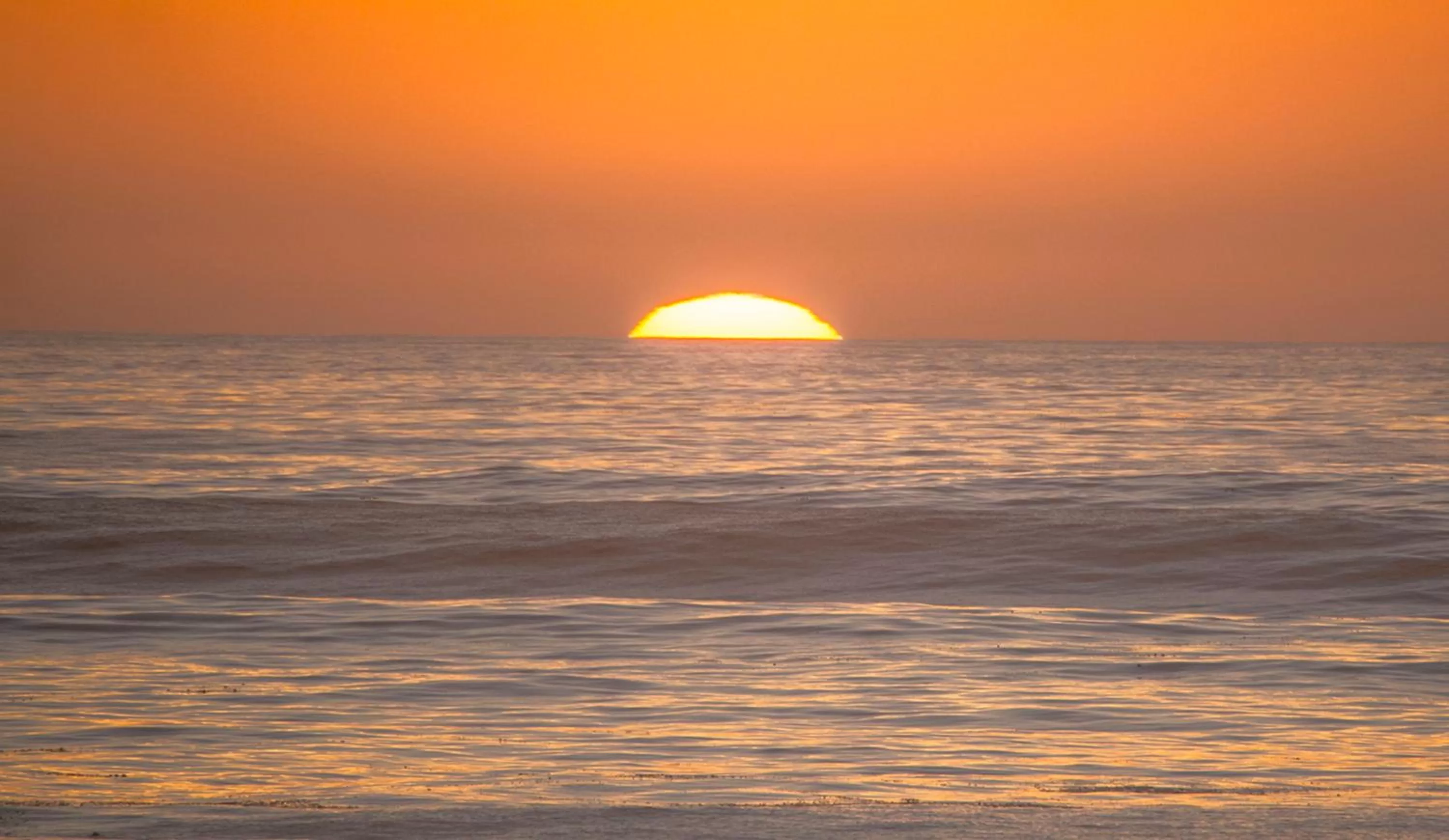 Natural landscape in Beach Haven