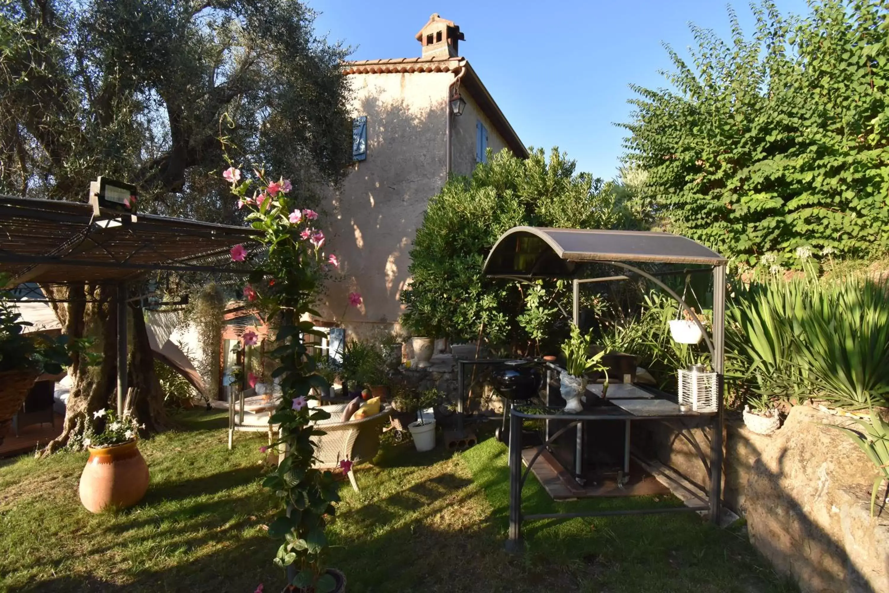 Garden, Property Building in Mas Giro