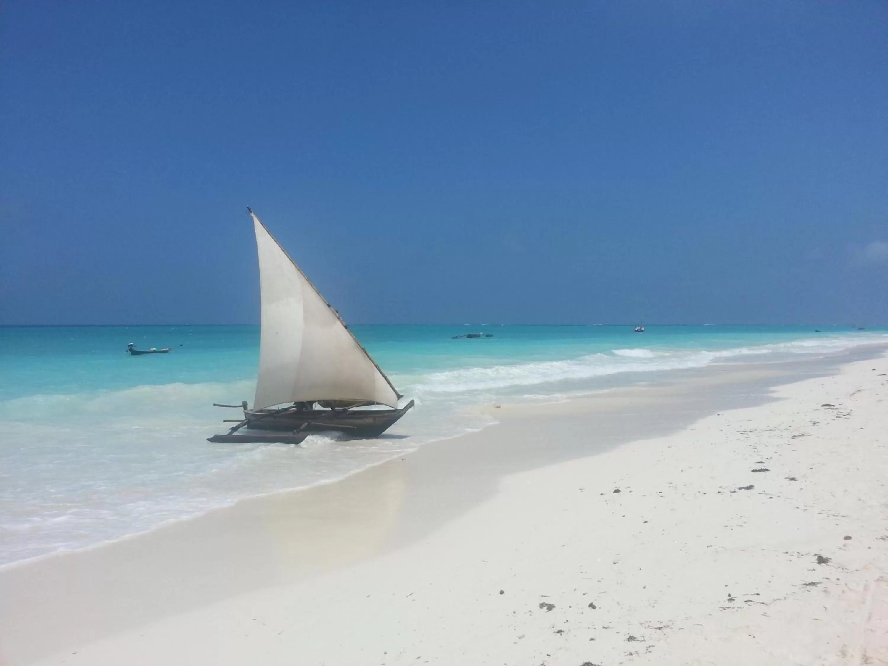 Beach in Ebony & Ivory Beach Bungalows