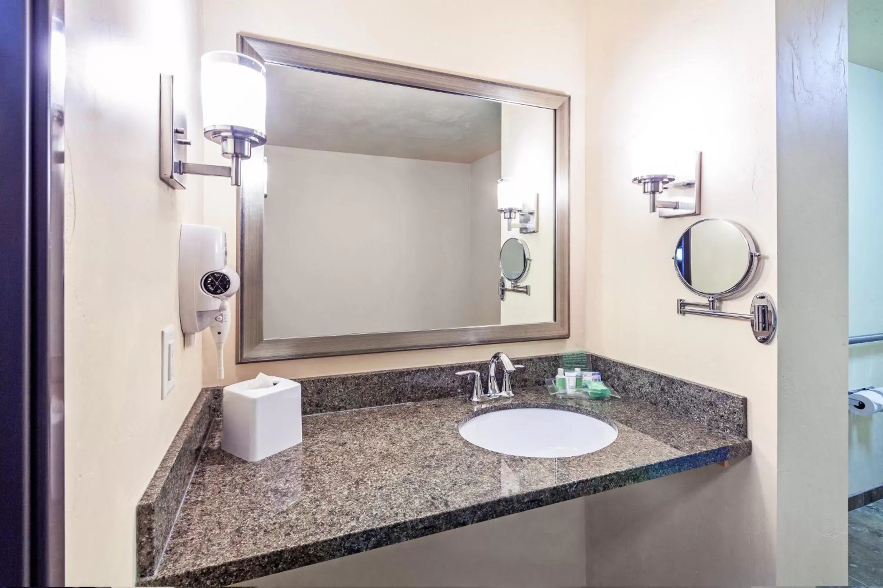 Bathroom in Holiday Inn & Suites Durango Downtown, an IHG Hotel