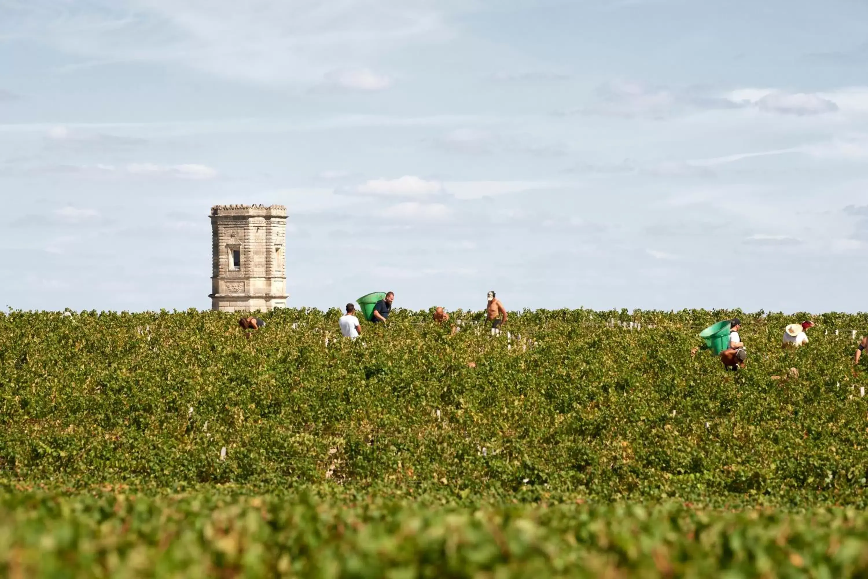 Nearby landmark in Best Western Premier Hotel des Vignes et des Anges