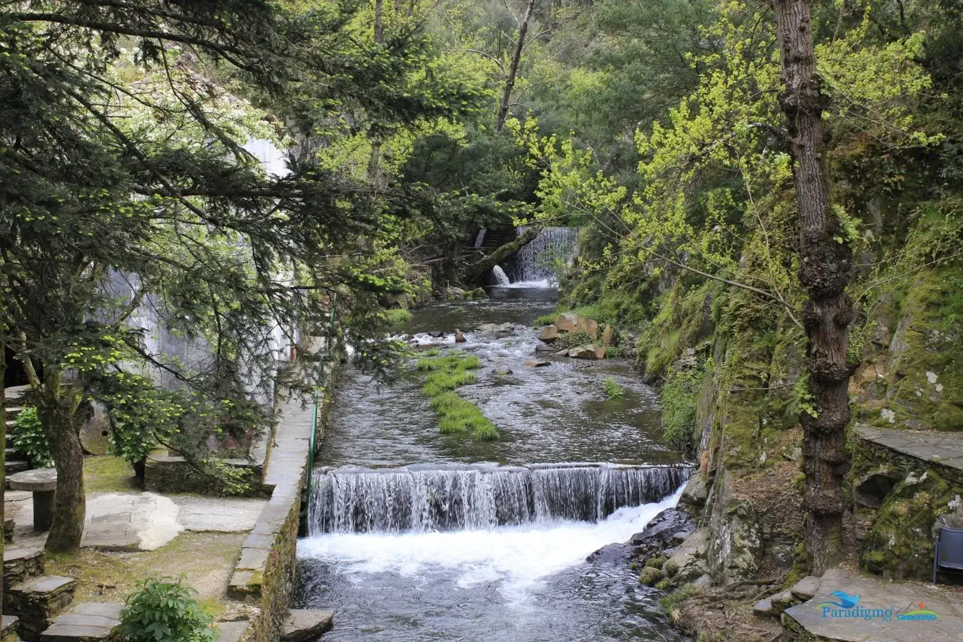 Natural Landscape in Residencial Martinho