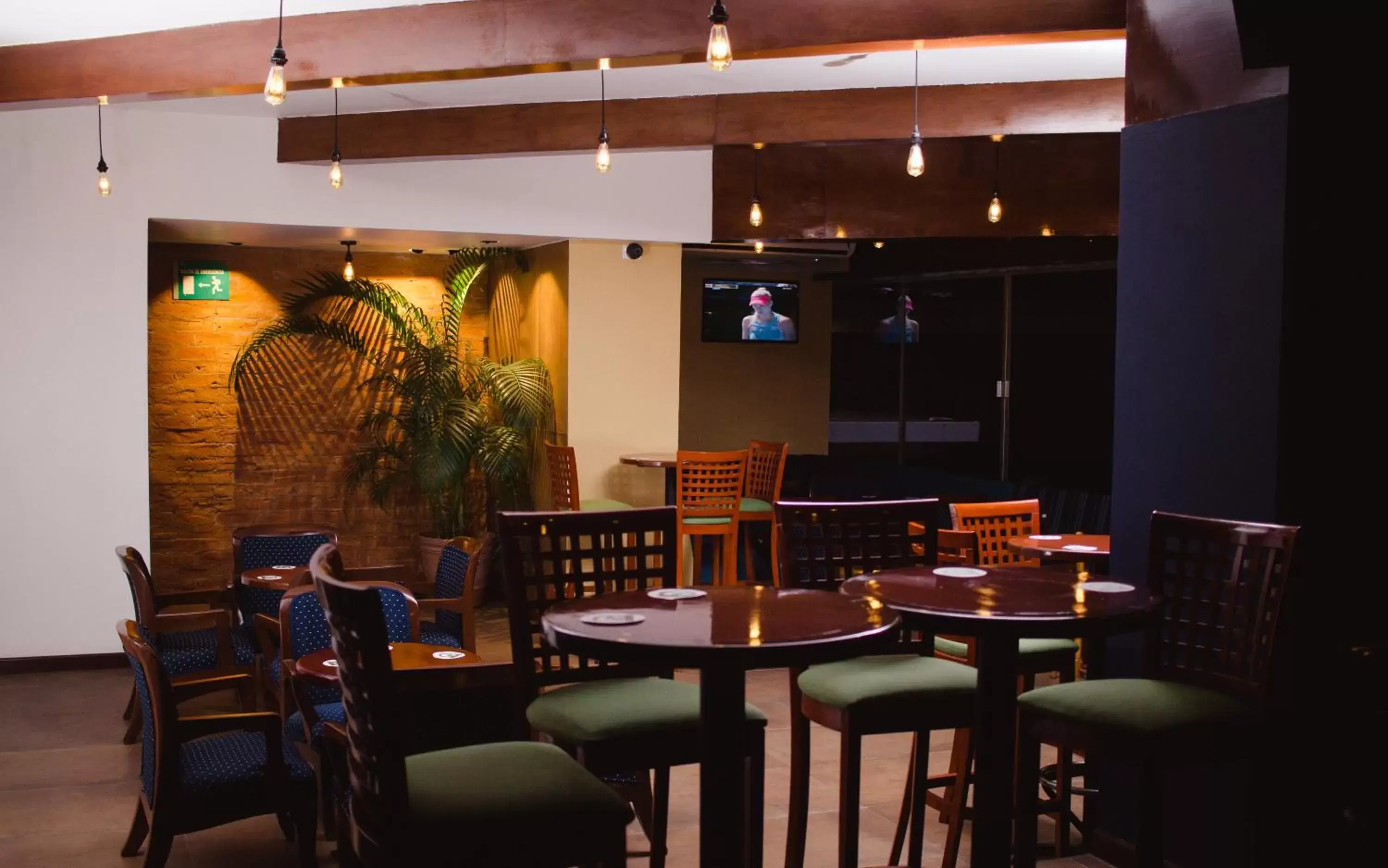 Lounge or bar, Restaurant/Places to Eat in Hotel Loma Real