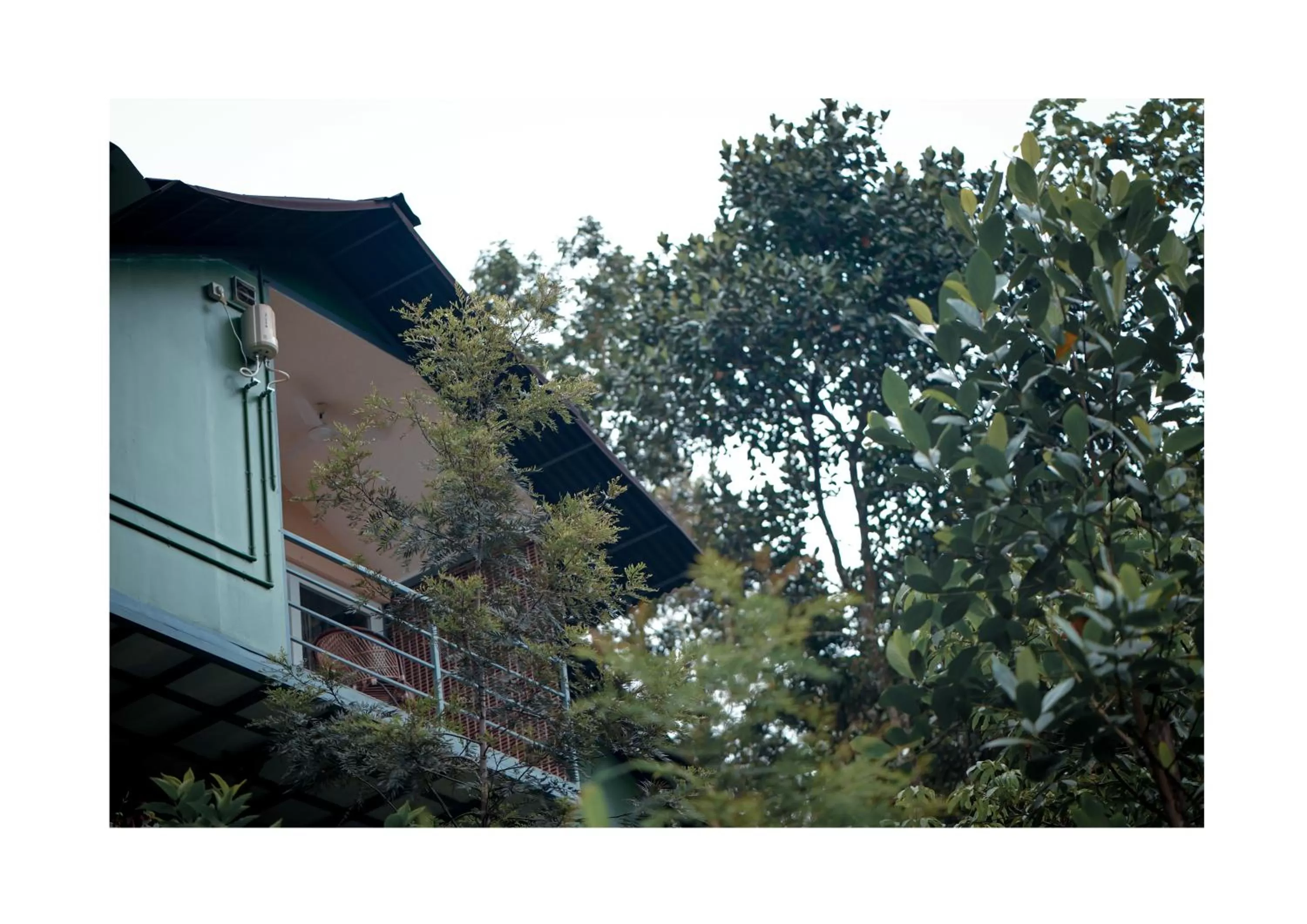 Balcony/Terrace, Property Building in Edens Munnar