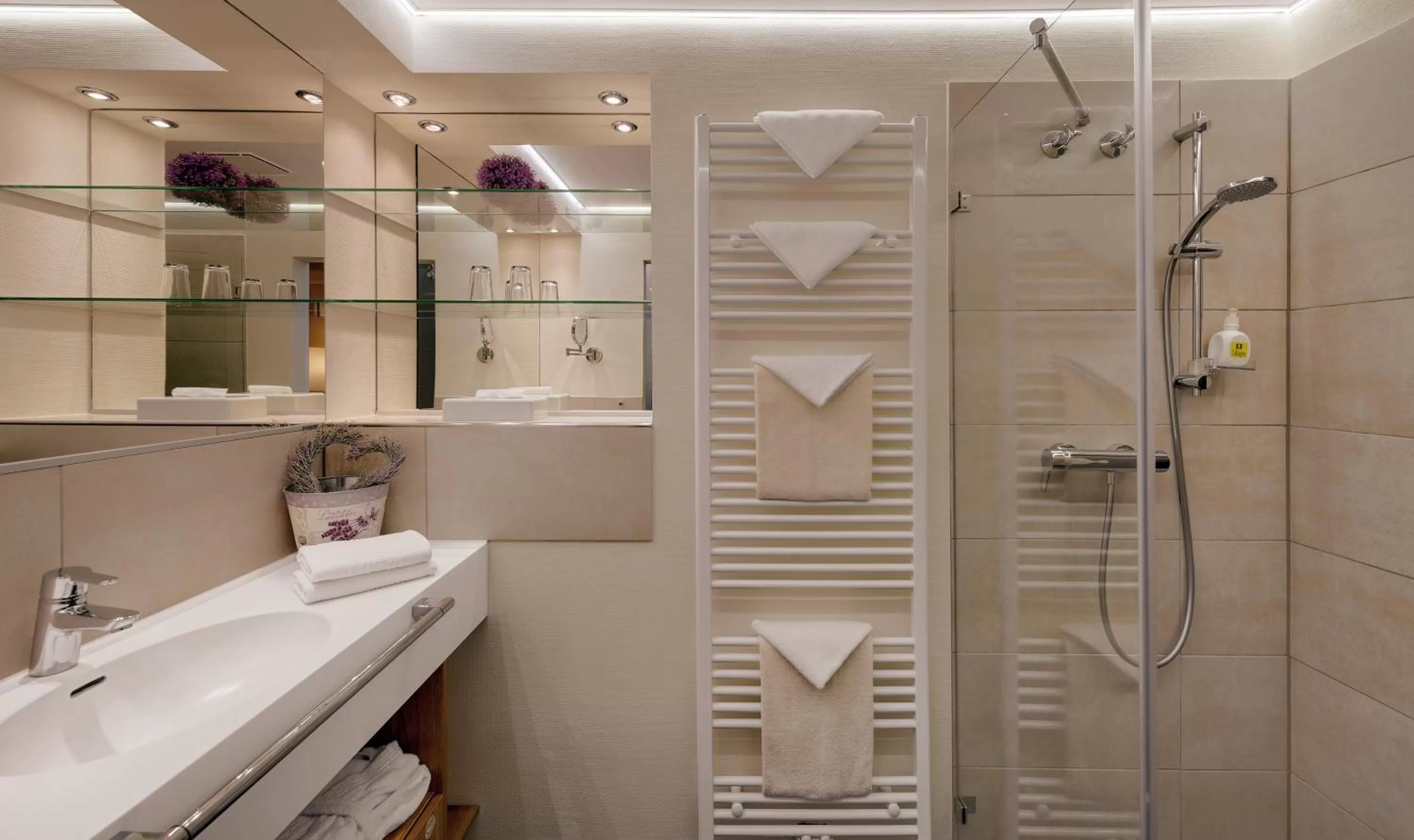 Shower in Pfalzhotel Asselheim