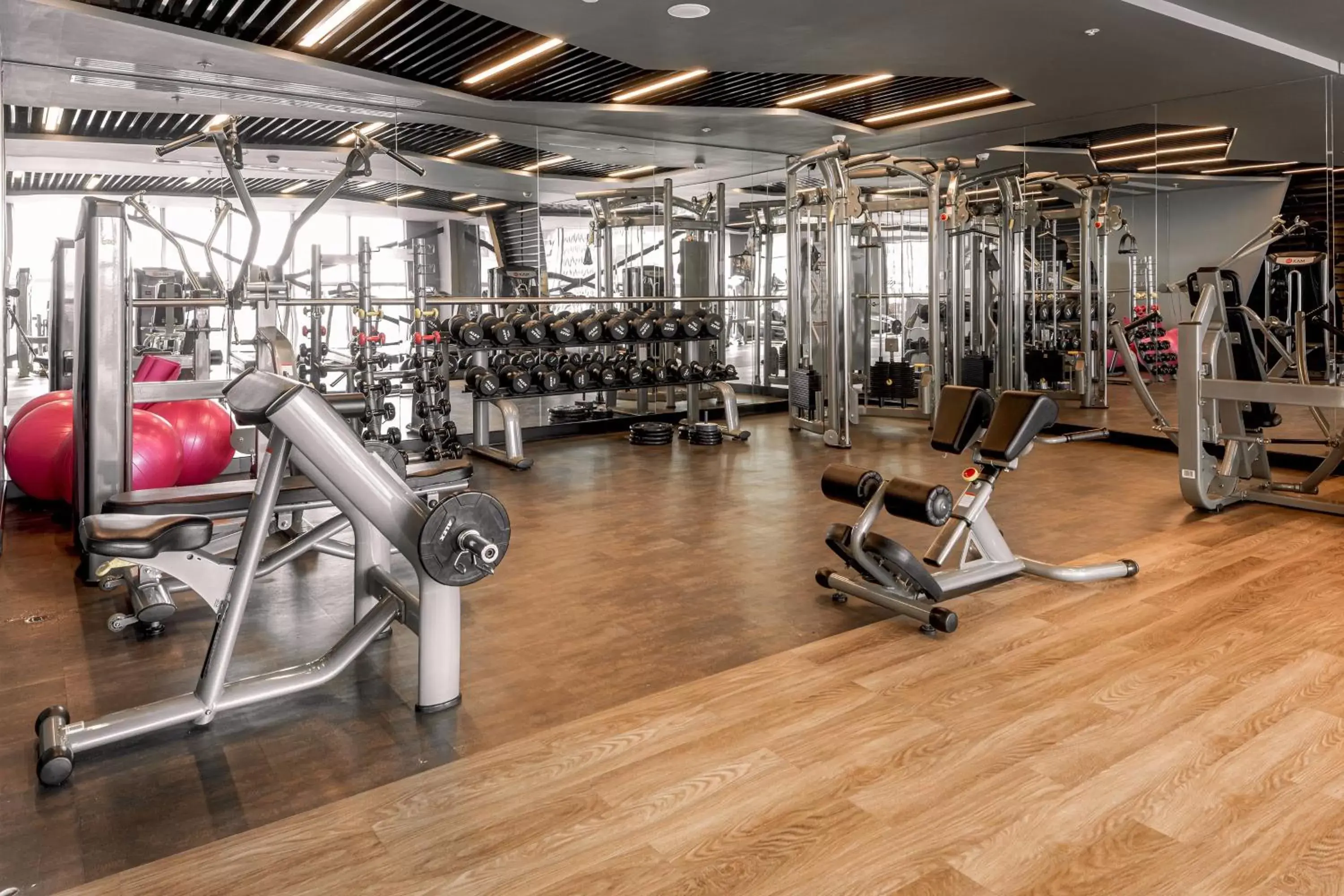 Fitness centre/facilities, Fitness Center/Facilities in Sheraton Bishkek