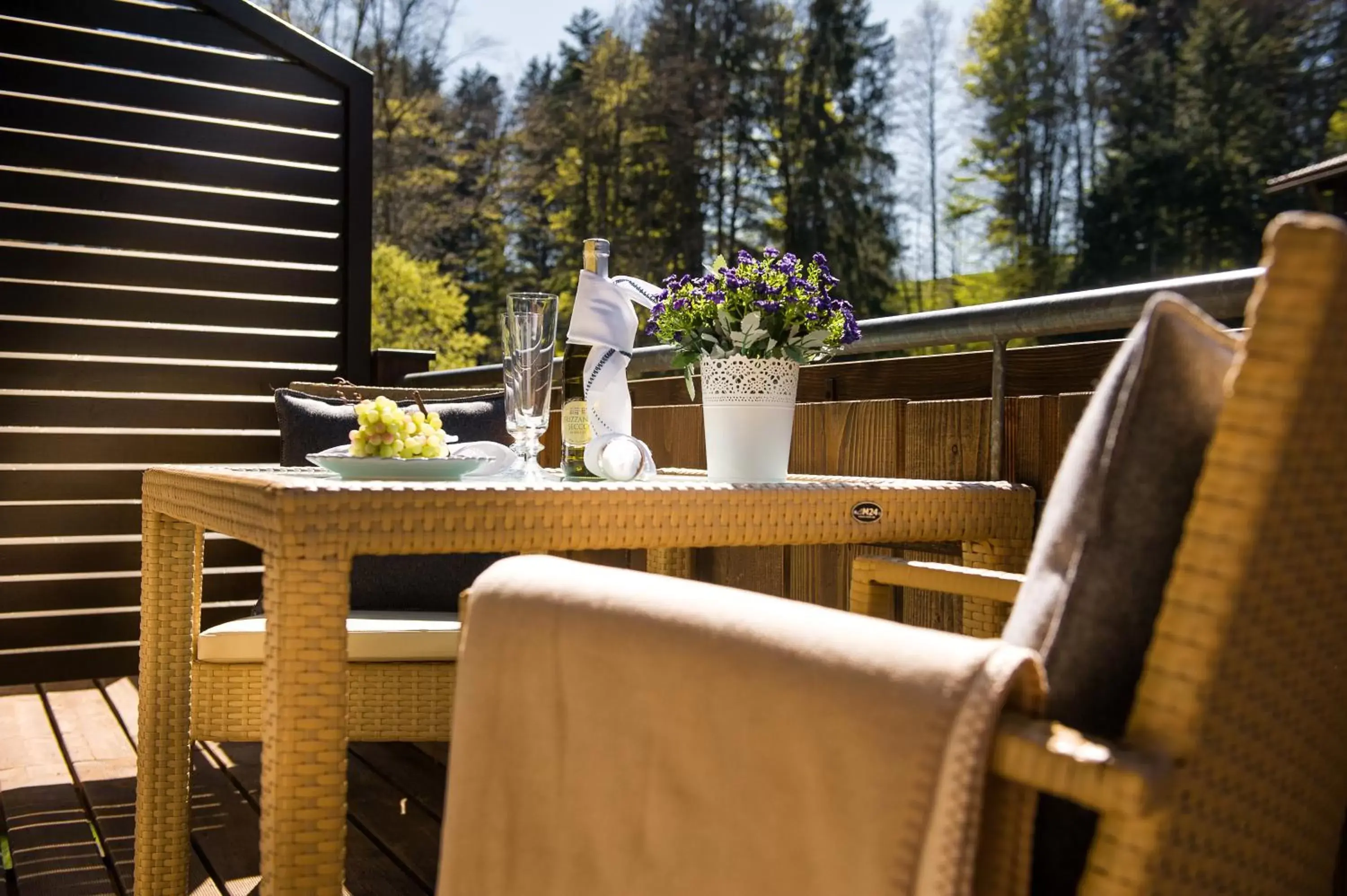 Balcony/Terrace in MONDI Resort und Chalet Oberstaufen