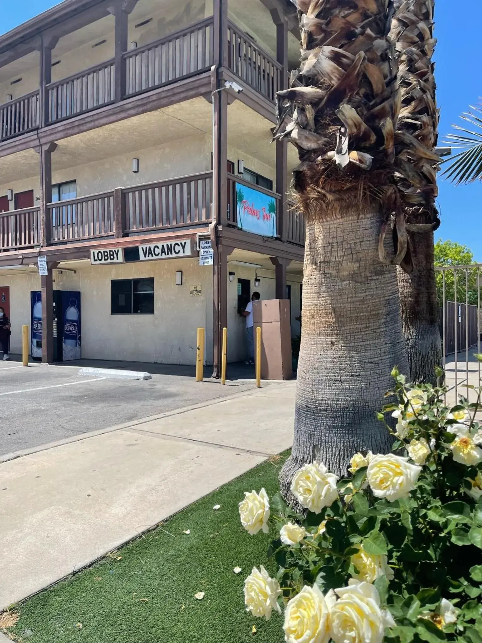 Property Building in Palms Inn & Suites