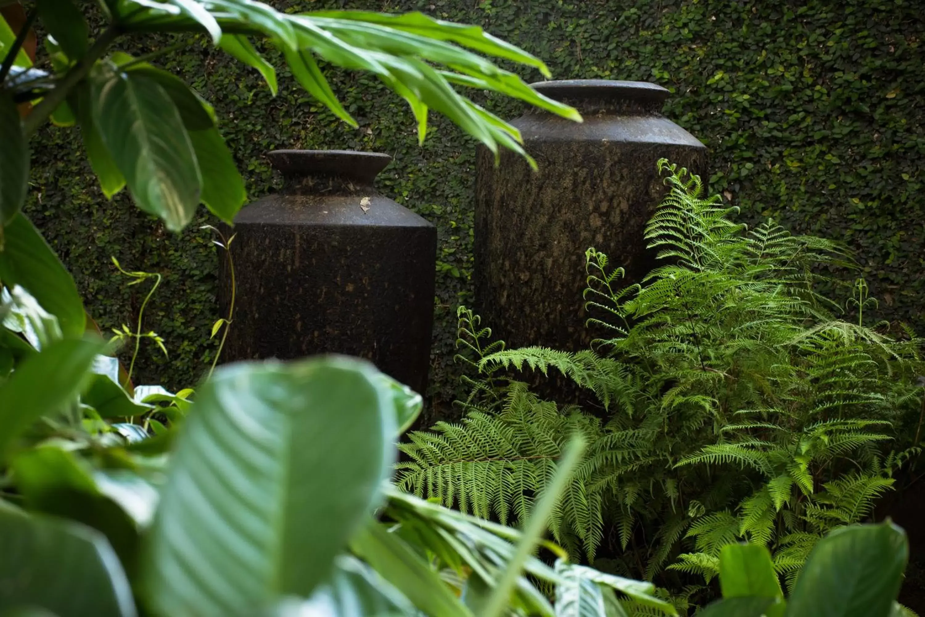 Garden in Zawadi House Lodge