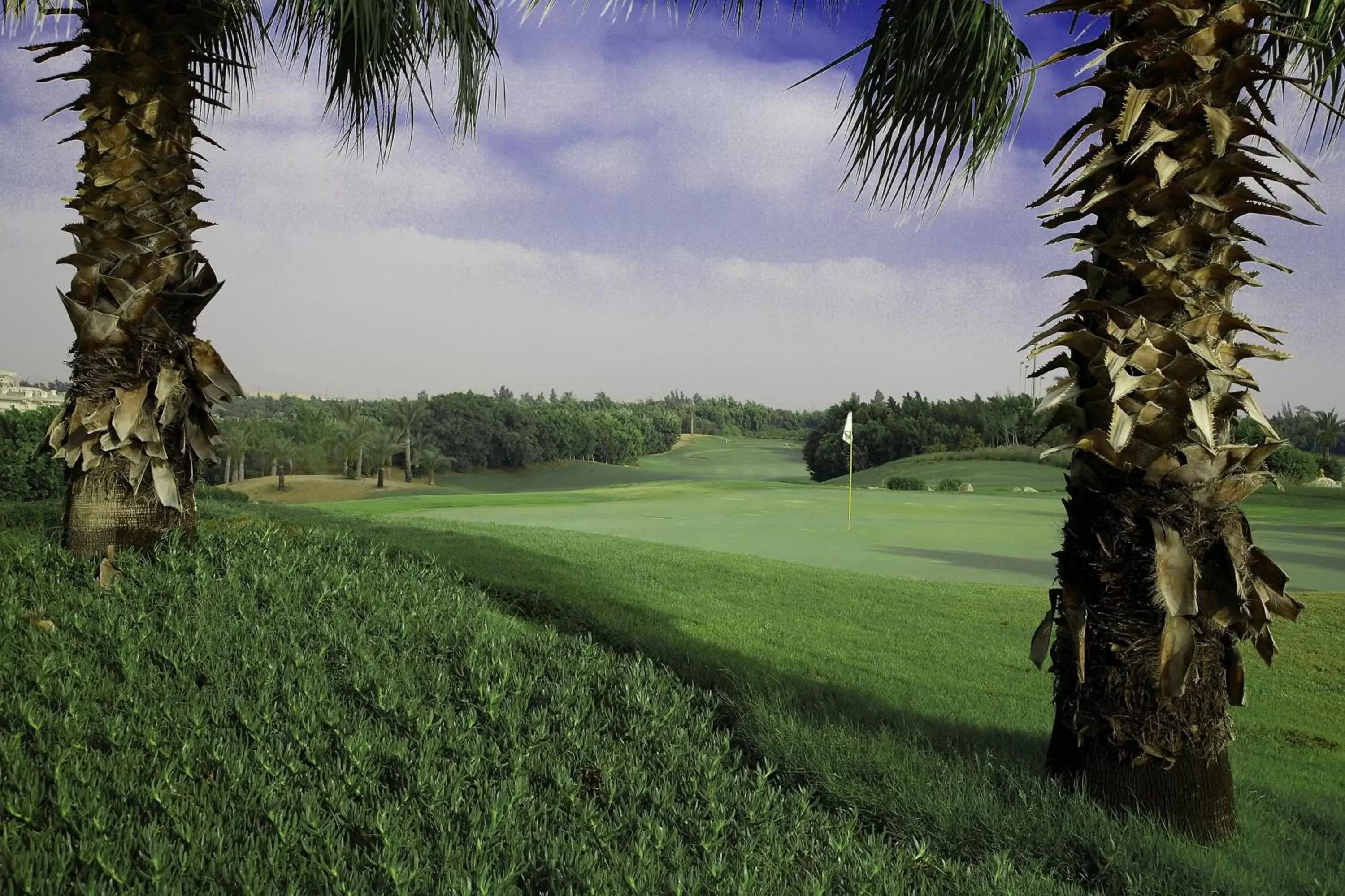 Golfcourse in JW Marriott Hotel Cairo