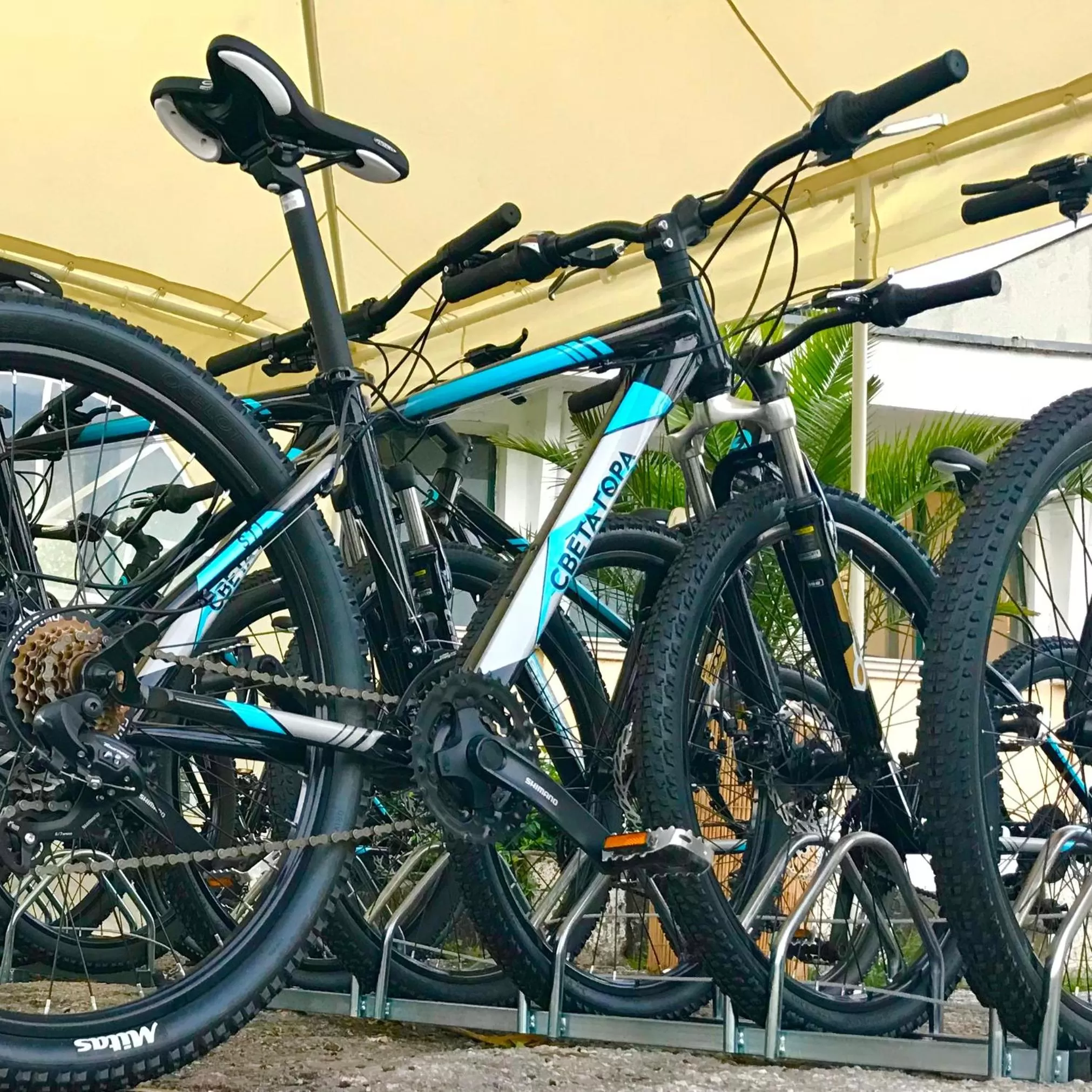 Cycling in RAYA Garden - Park Hotel & Winery