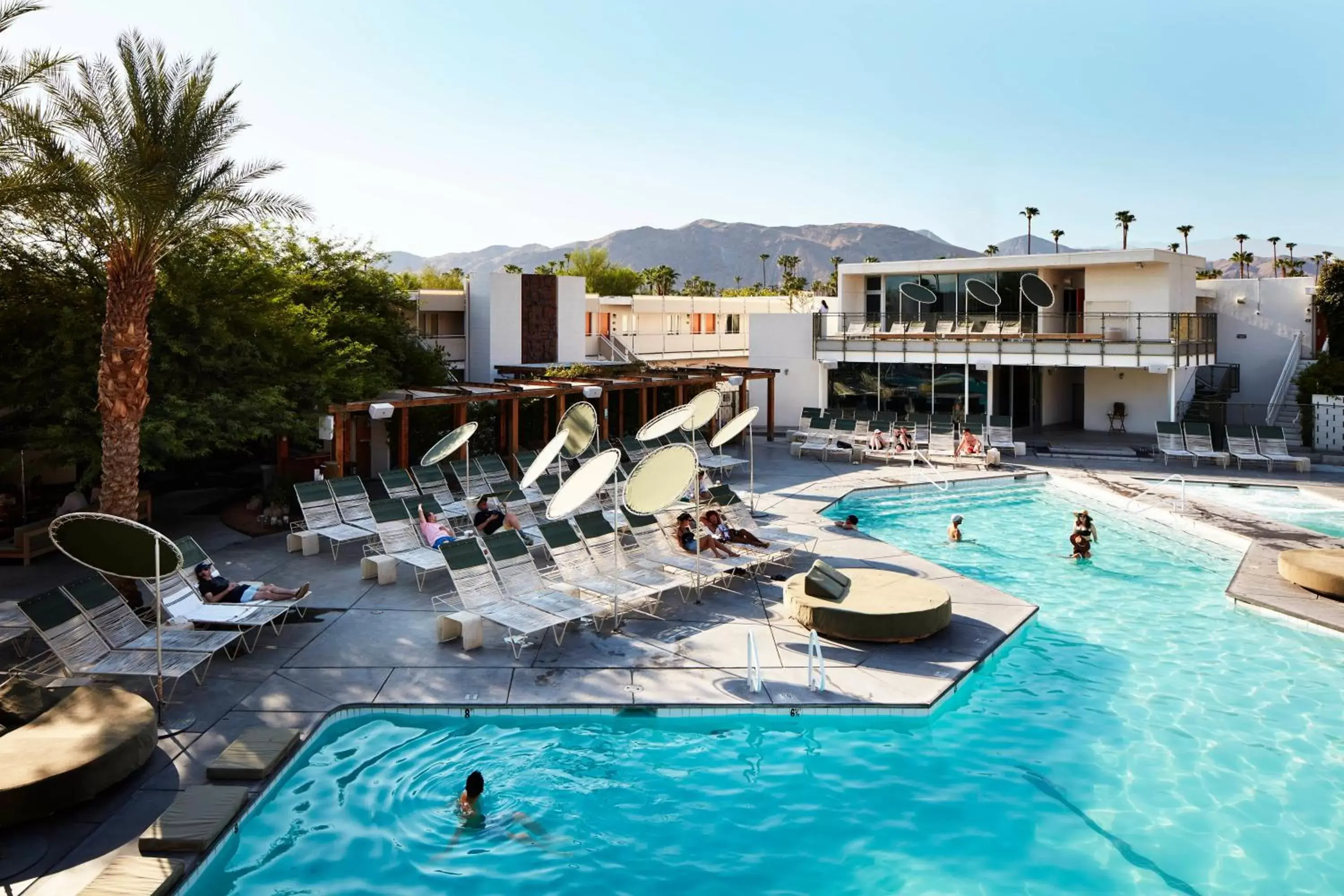 Swimming pool, Pool View in Ace Hotel and Swim Club Palm Springs