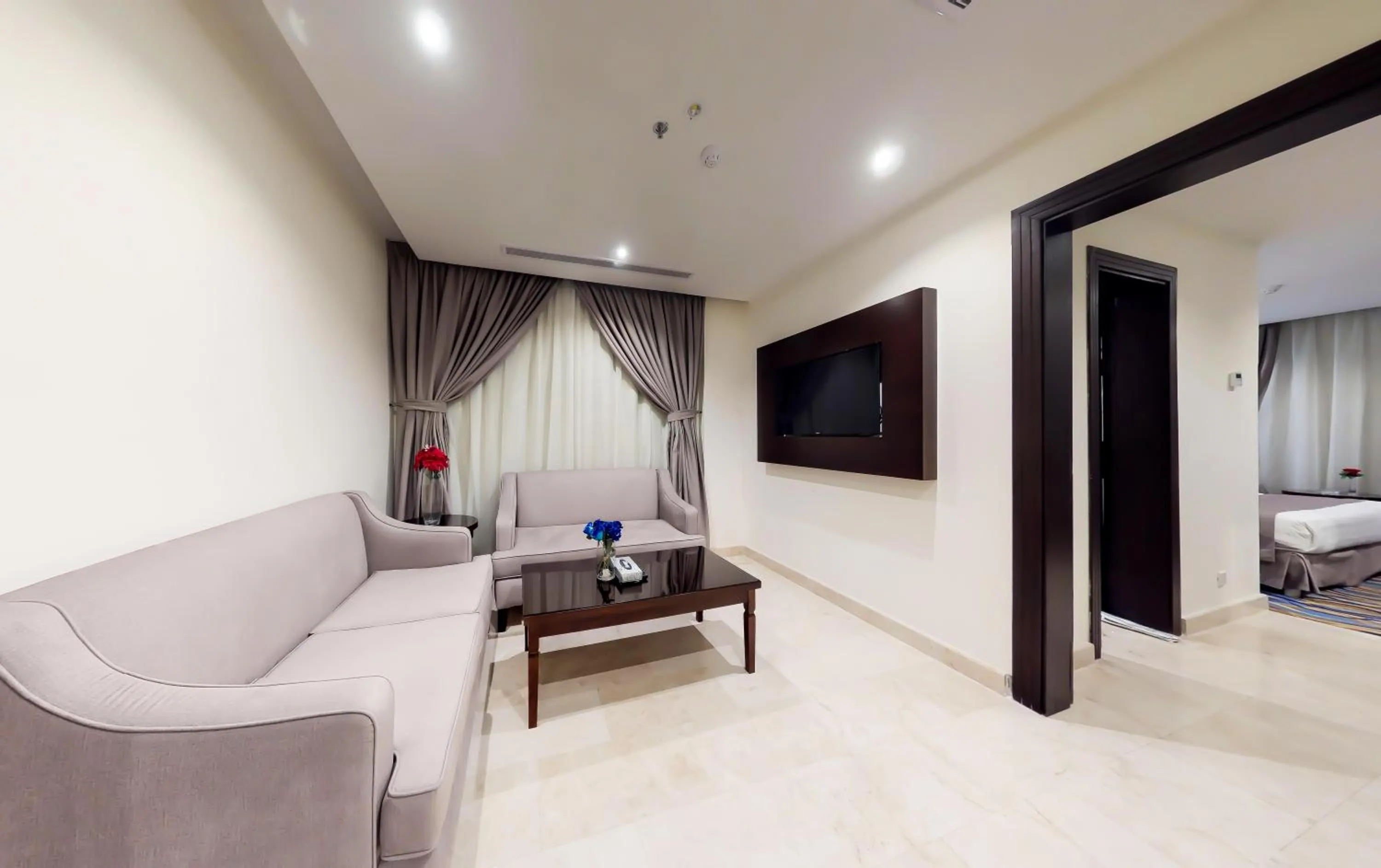 TV and multimedia in Aster Hotel