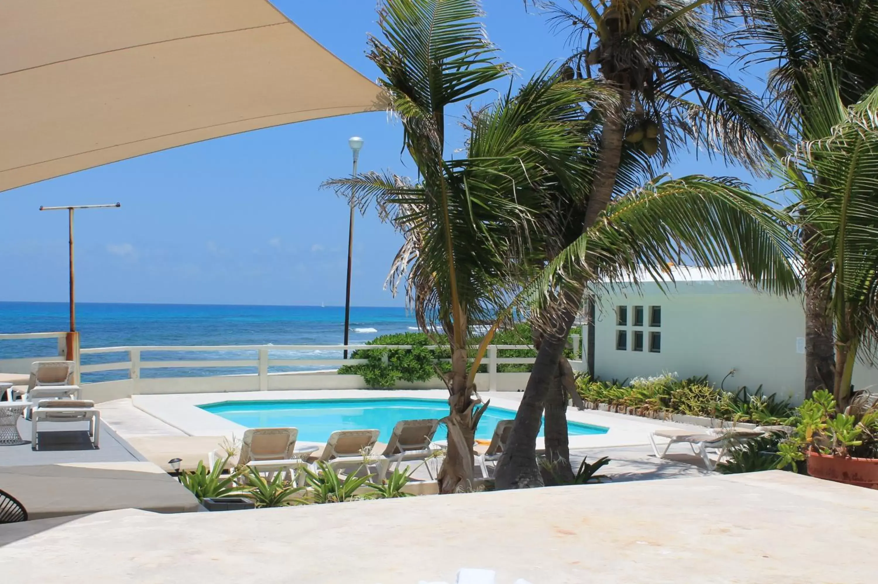 Balcony/Terrace, Swimming Pool in Rocamar Hotel Isla Mujeres