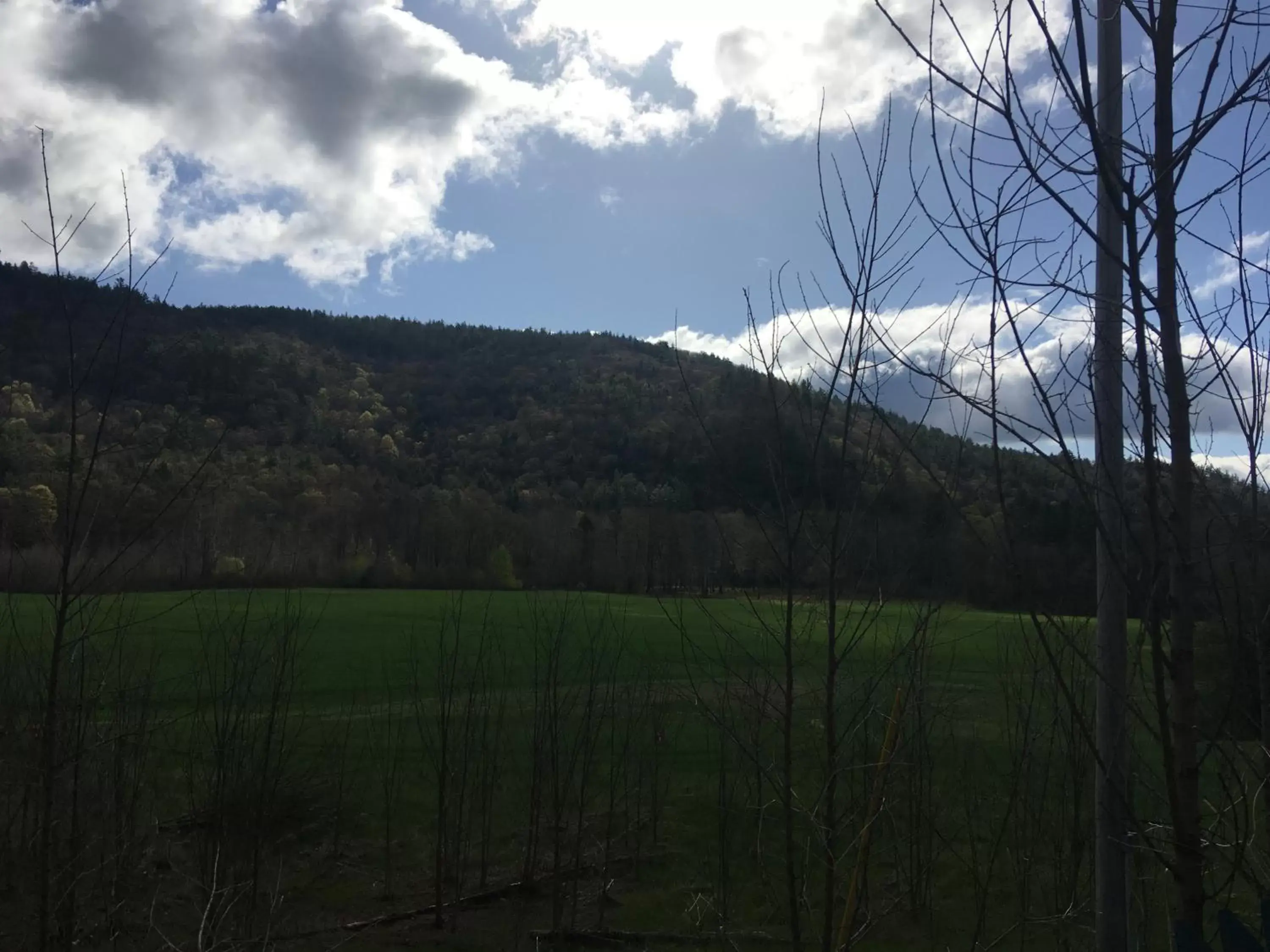 Natural landscape in The Lodge at West River