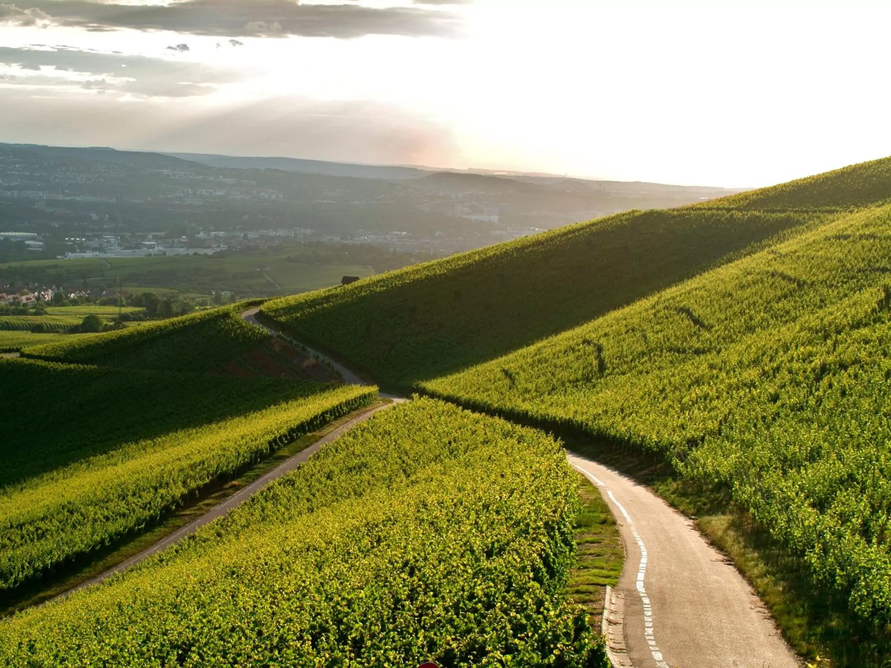 Area and facilities, Natural Landscape in City Hotel Fellbach 24H CHECK-IN