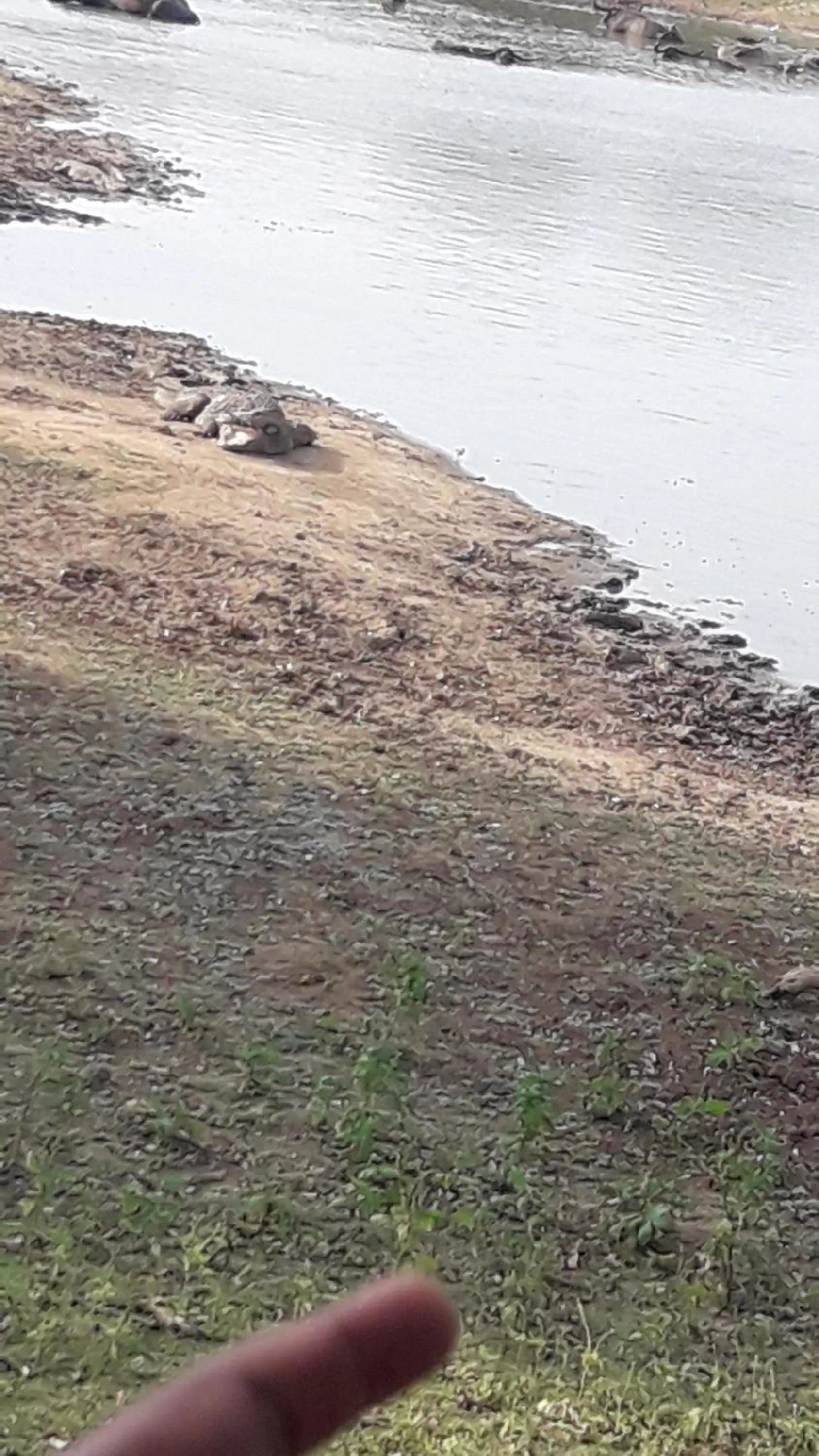 Jayasinghe Holiday Resort