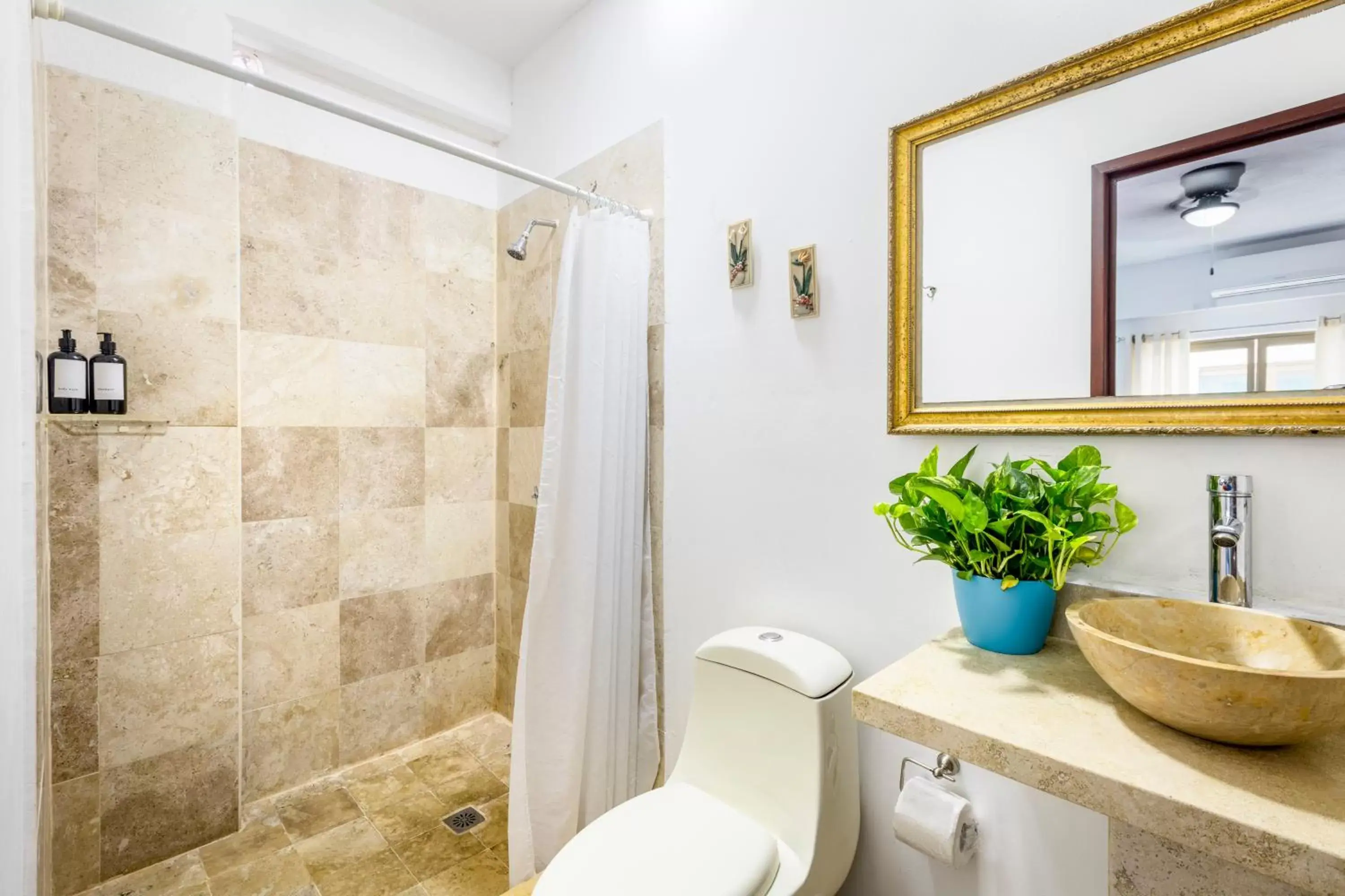Shower, Bathroom in Hotel Pueblito Vallarta