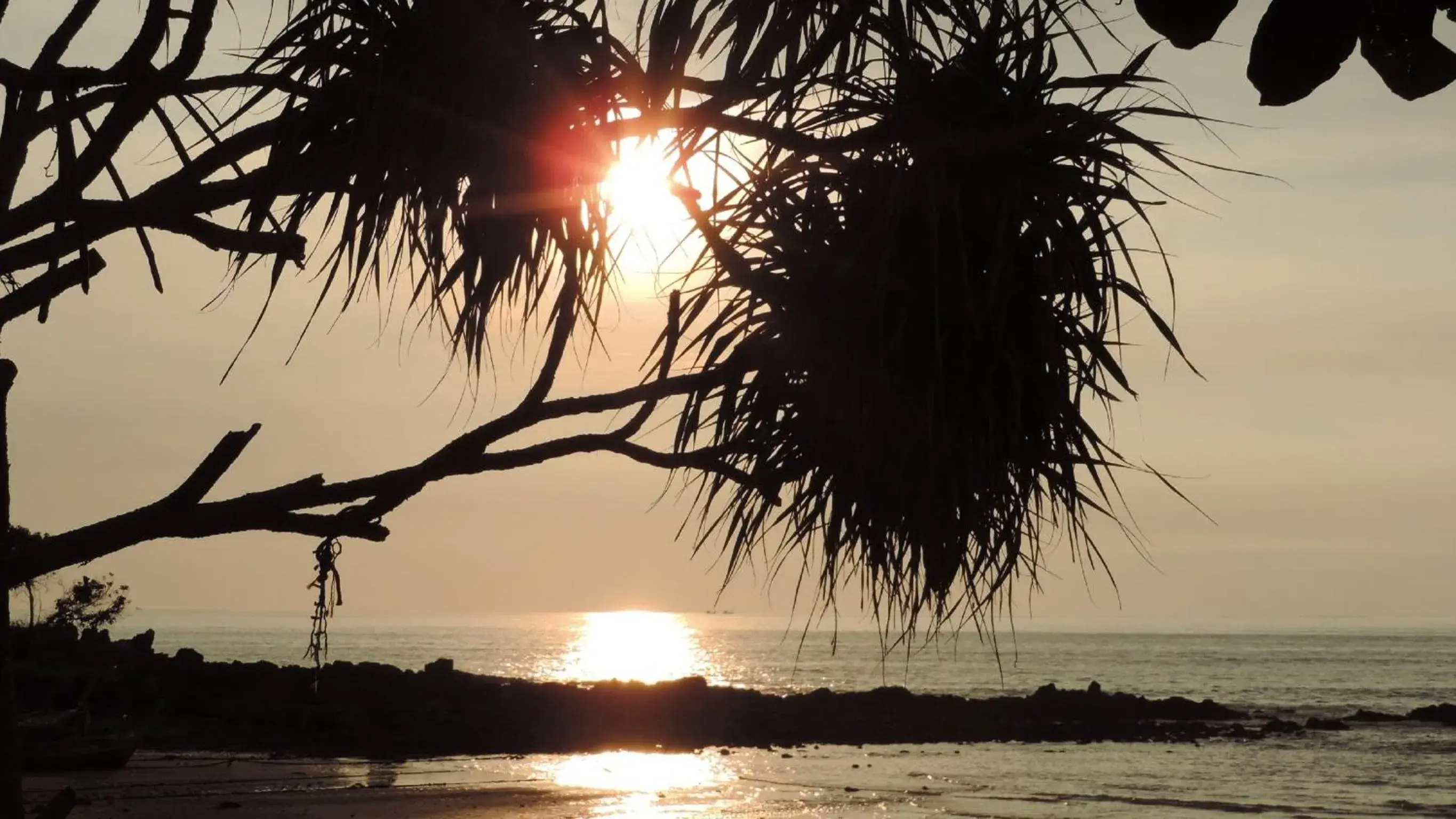 Sea view, Sunrise/Sunset in Lazy Days Bungalows