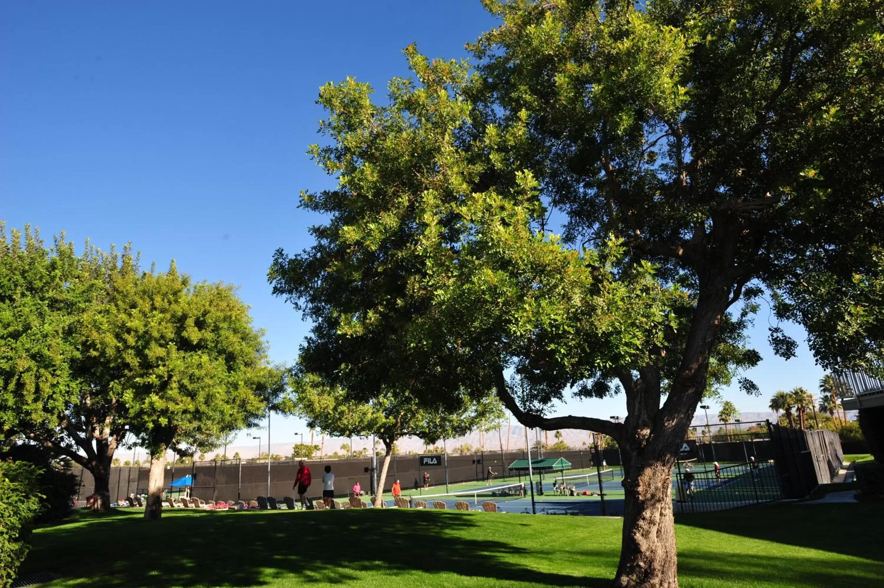 Garden in Shadow Mountain Resort & Club