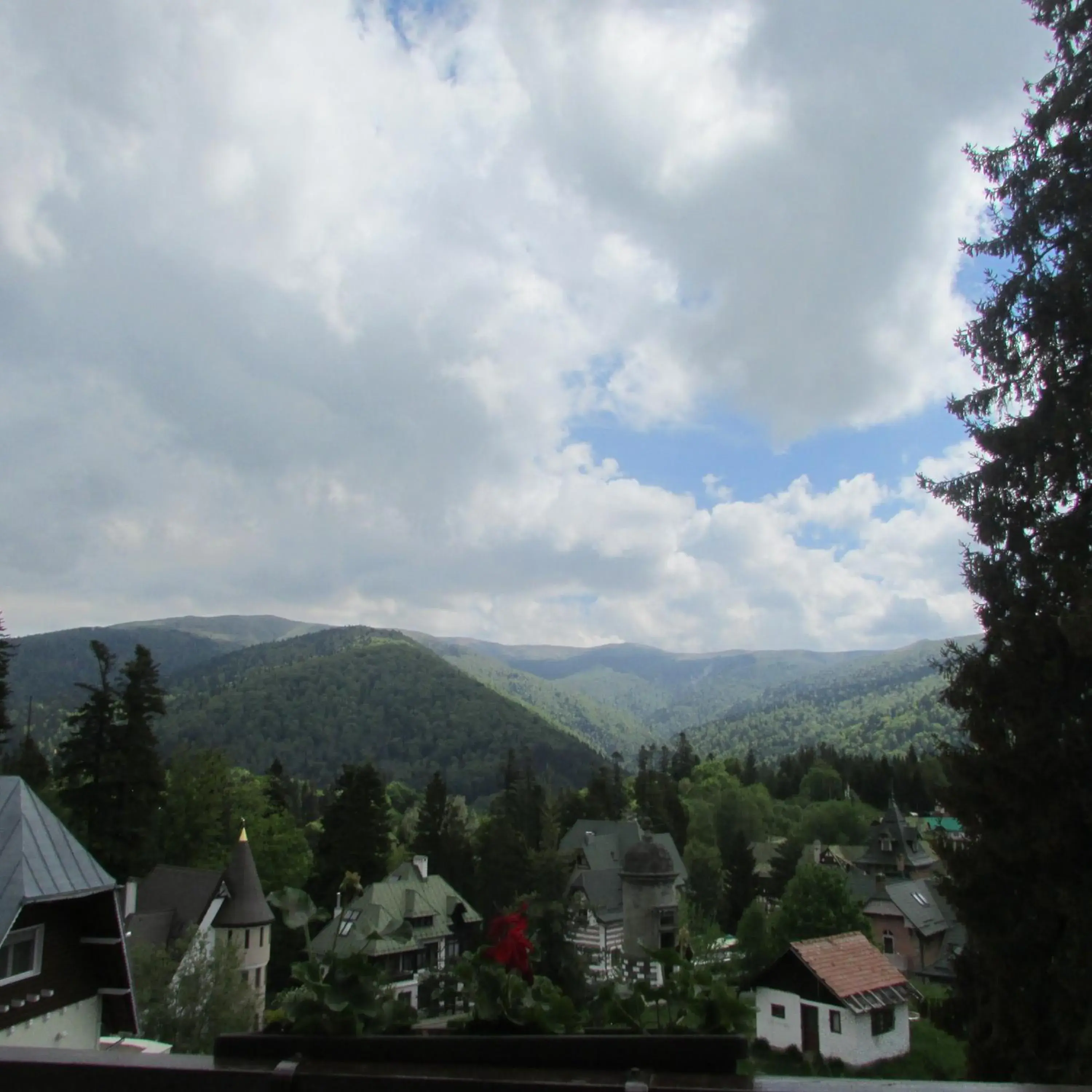 Natural landscape, Mountain View in Hotel Marea Neagra Sinaia