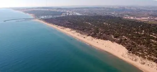 Area and facilities, Bird's-eye View in Hotel Meridional