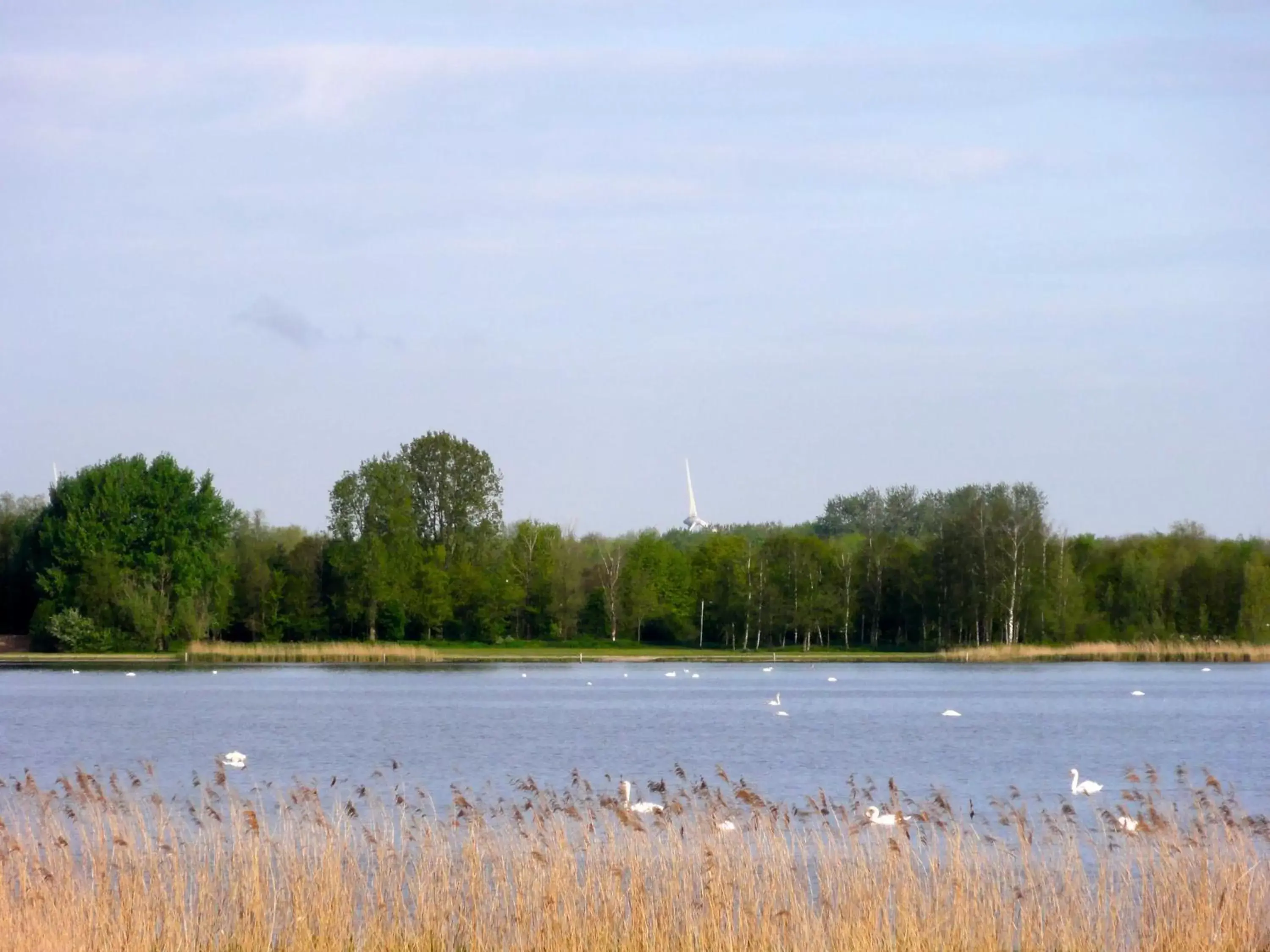 Natural landscape in Postillion Amersfoort Veluwemeer