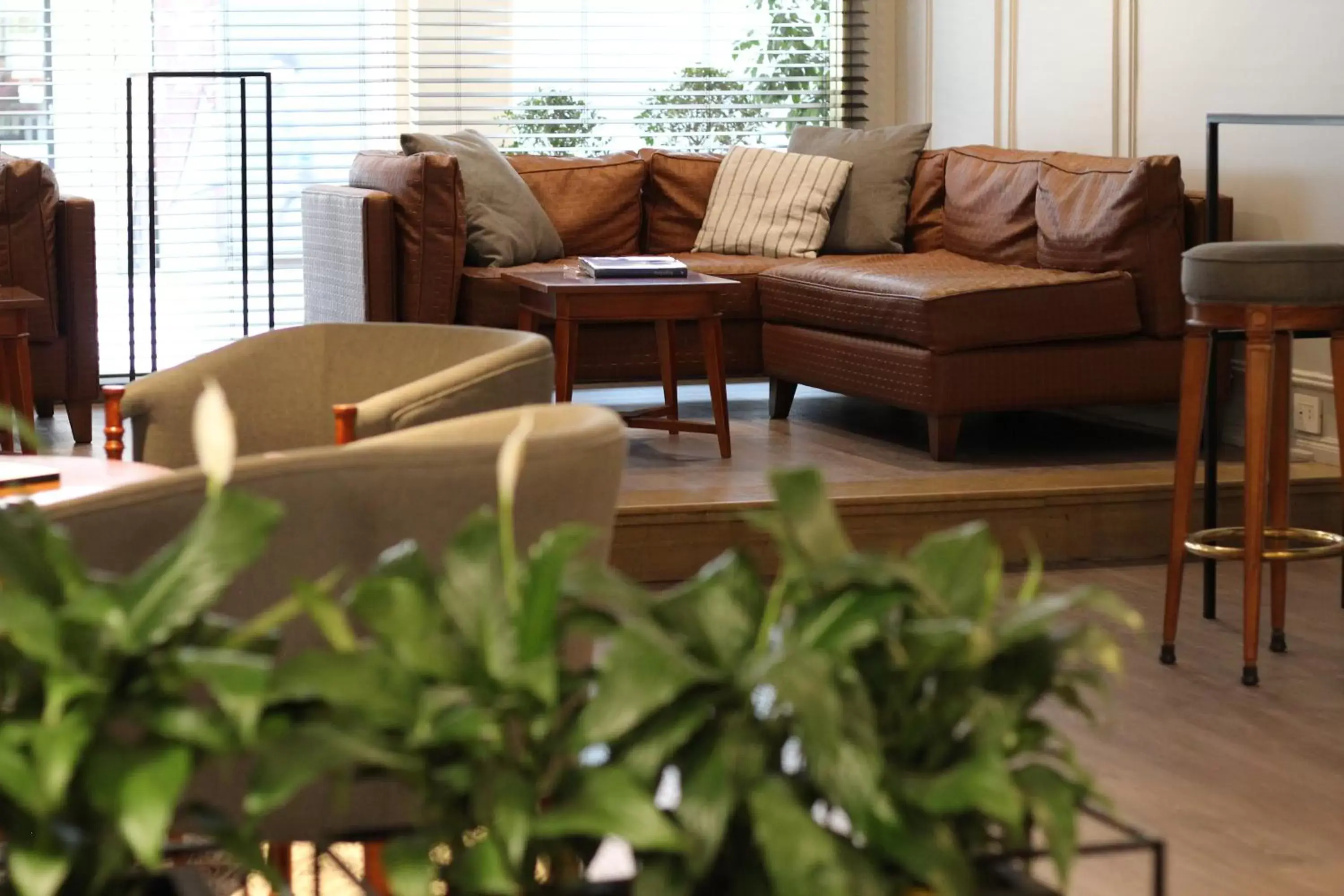 Living room, Seating Area in Carsson Hotel Downtown Buenos Aires