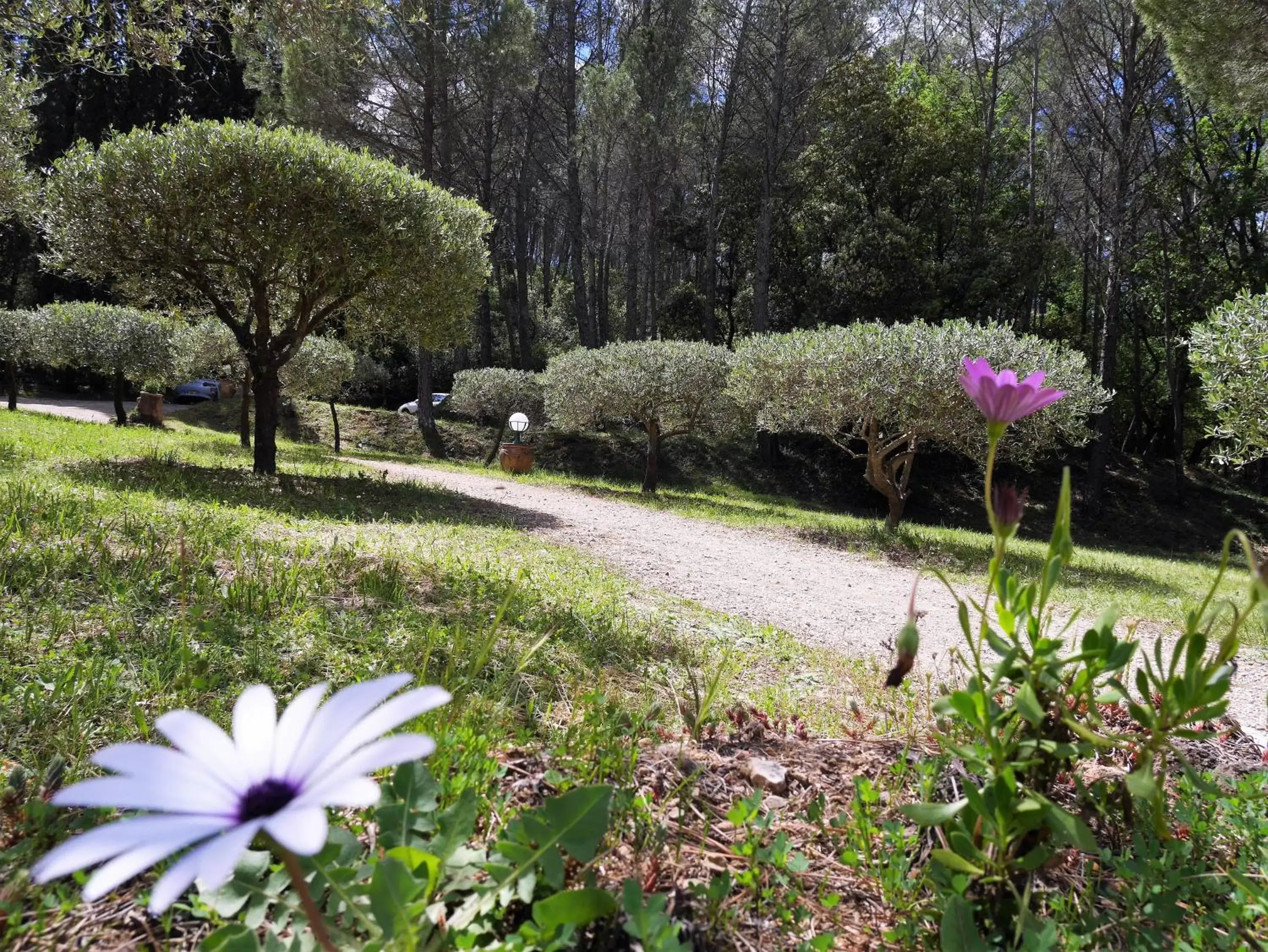 Property building, Garden in Le Mas des Oliviers