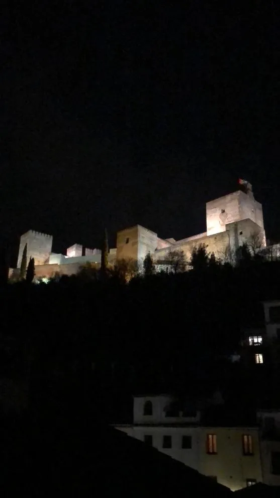 View (from property/room) in Hotel Rosa De oro