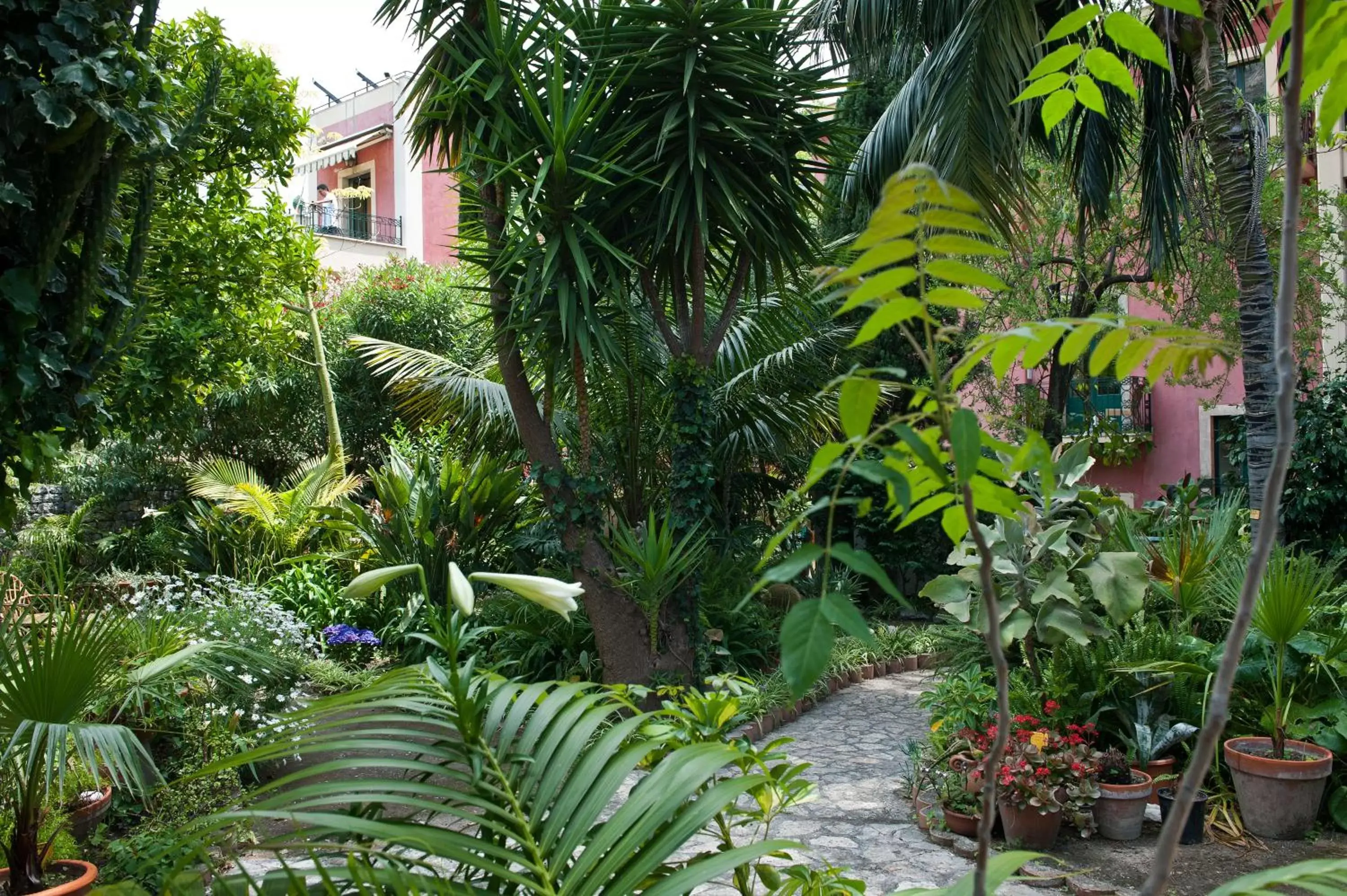 Garden in Hotel Villa Schuler