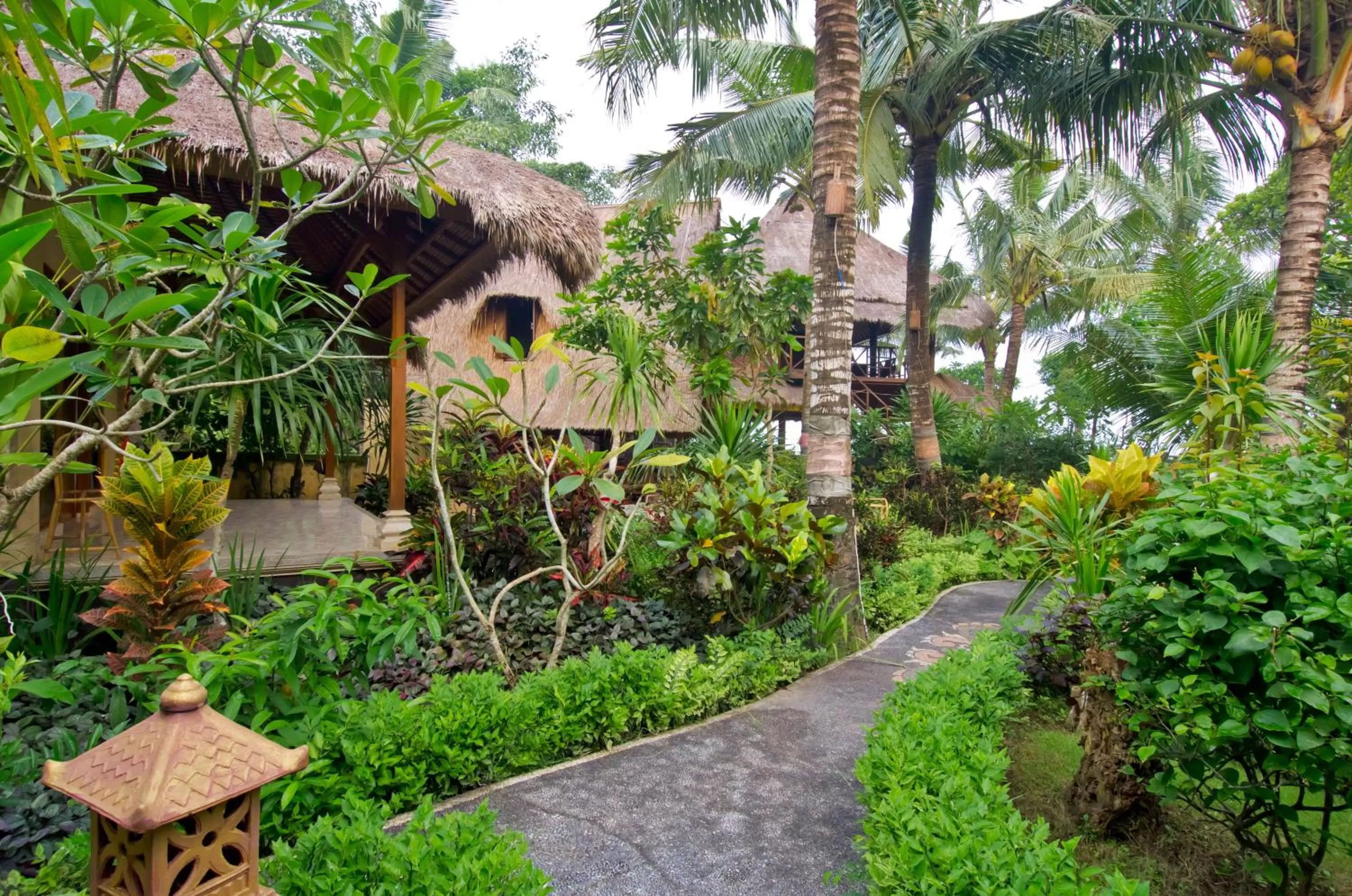 Natural landscape in Mushroom Beach Bungalows
