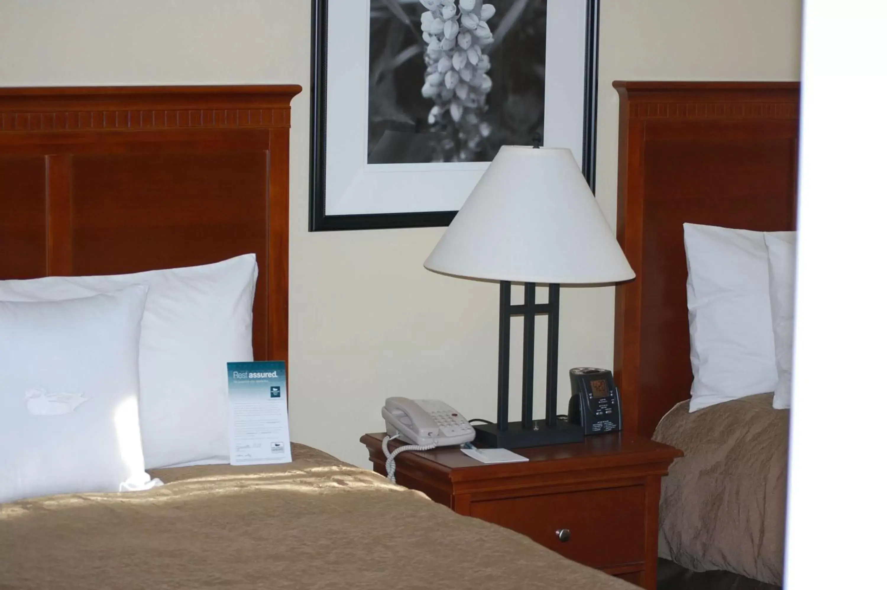 Bed in Homewood Suites by Hilton Denver - Littleton