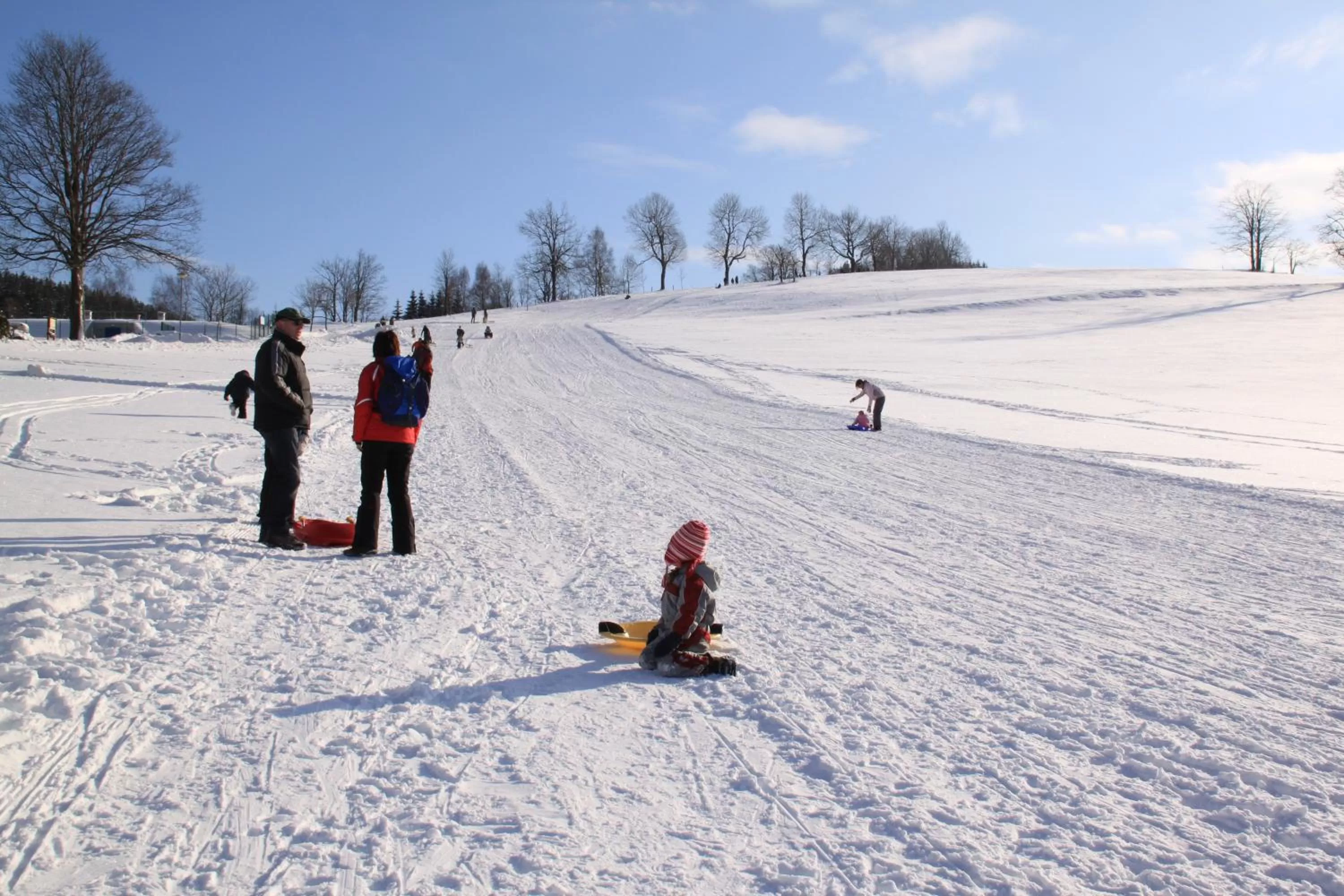Ski School in Naturhotel Lindenhof