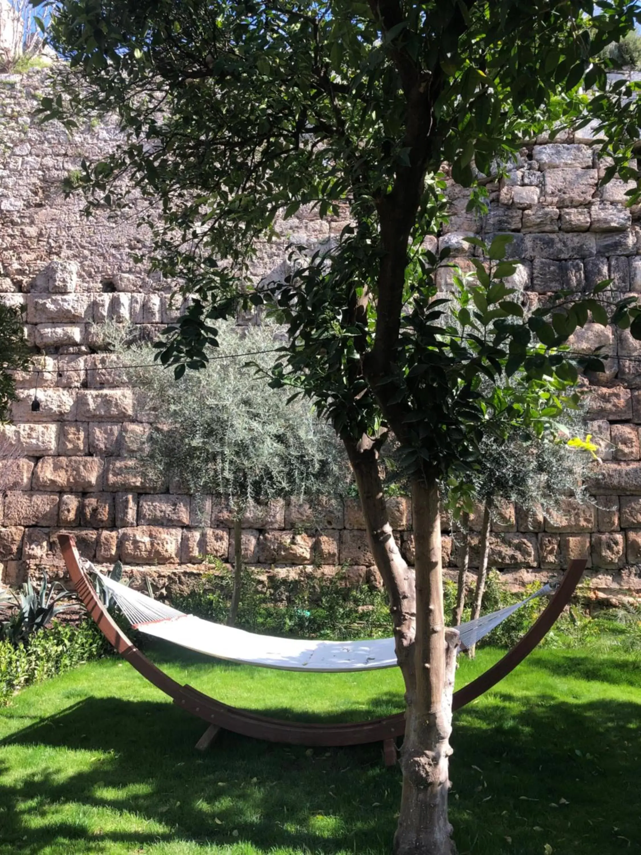 Garden in Casa Sur Antalya