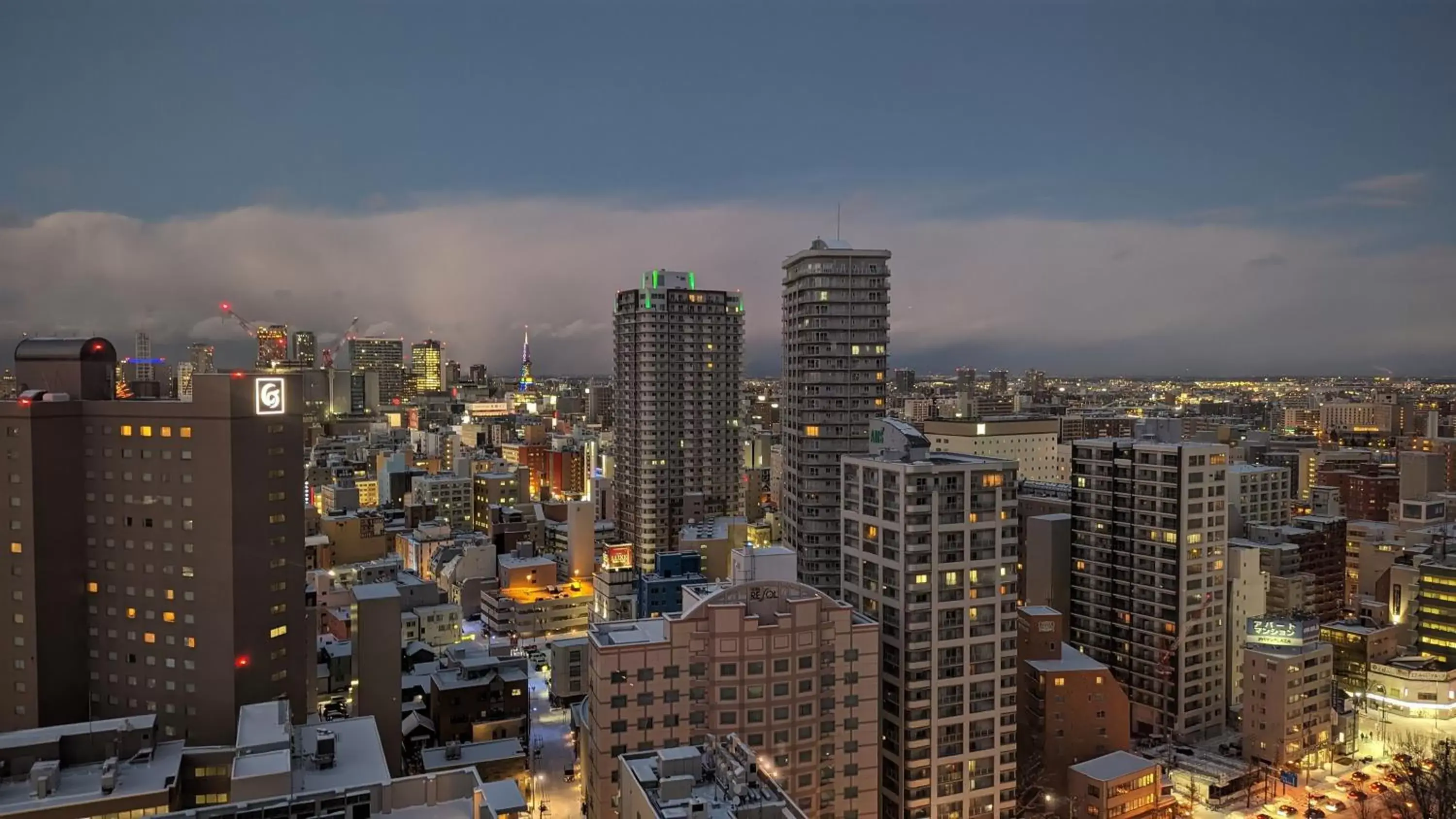 City view in Premier Hotel Nakajima Park Sapporo