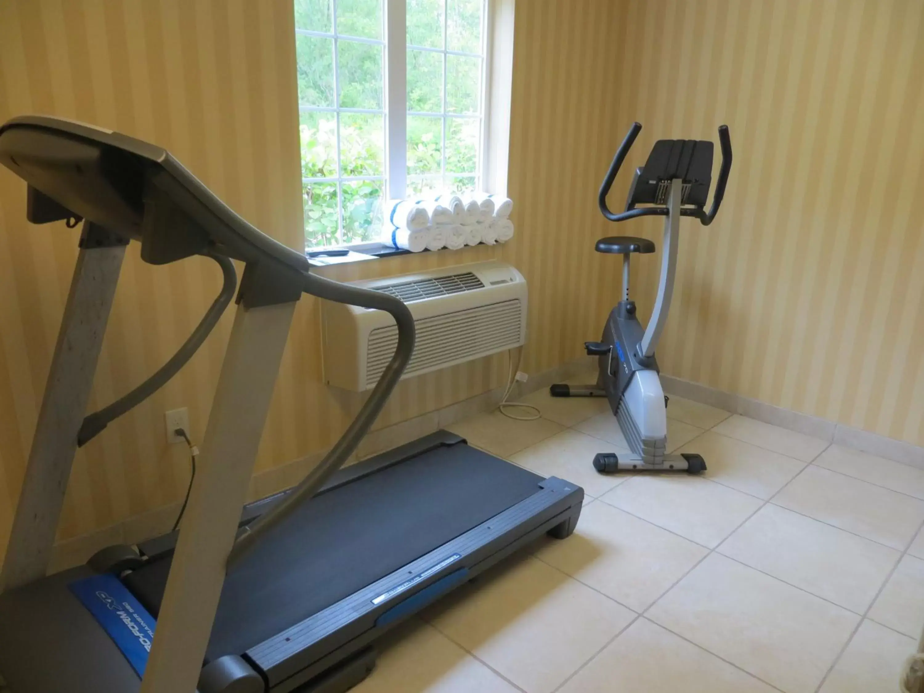 Fitness centre/facilities in Cobblestone Inn & Suites - Brillion Fitness centre/facilities in Cobblestone Inn & Suites - Brillion