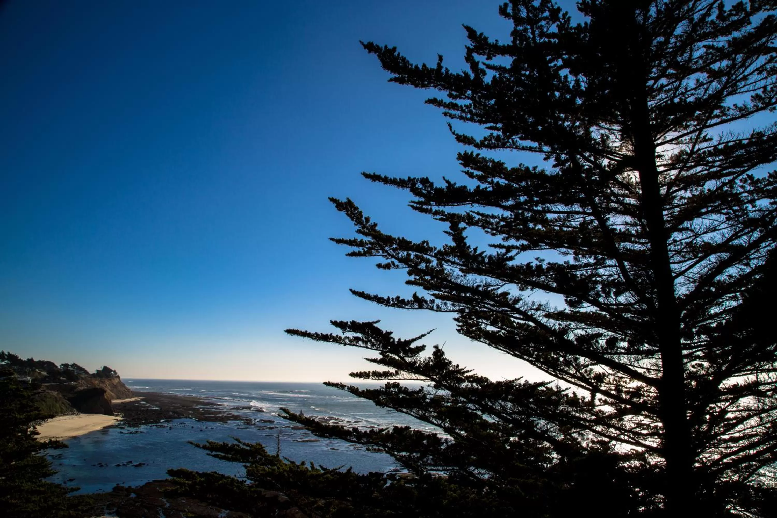 Area and facilities in Seal Cove Inn