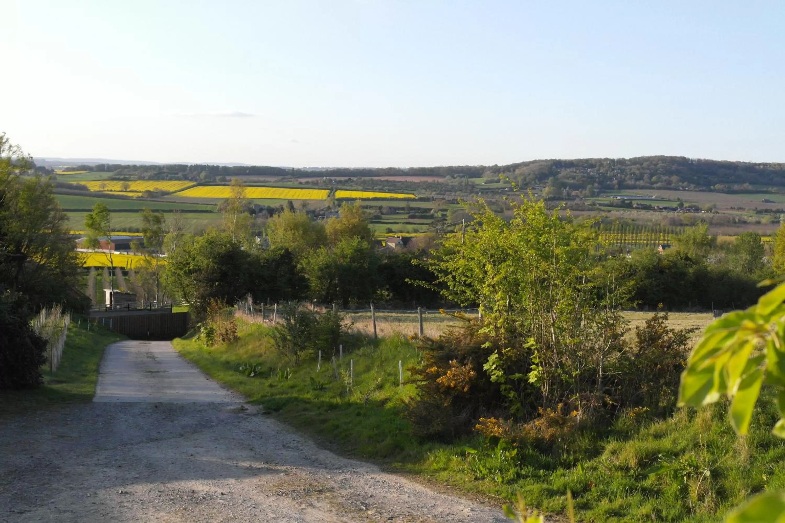 Natural landscape in Prospect BARN