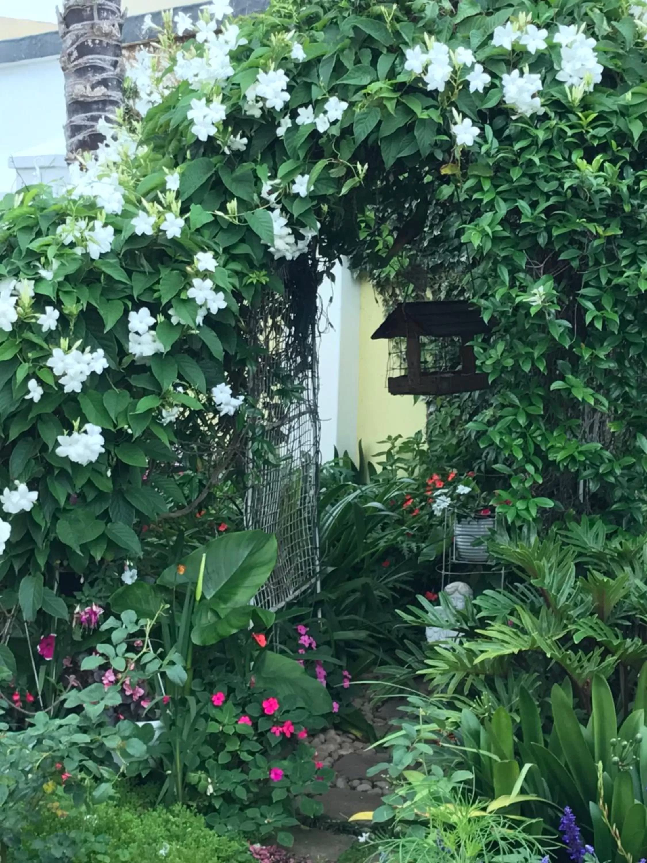 Garden in On the Bay