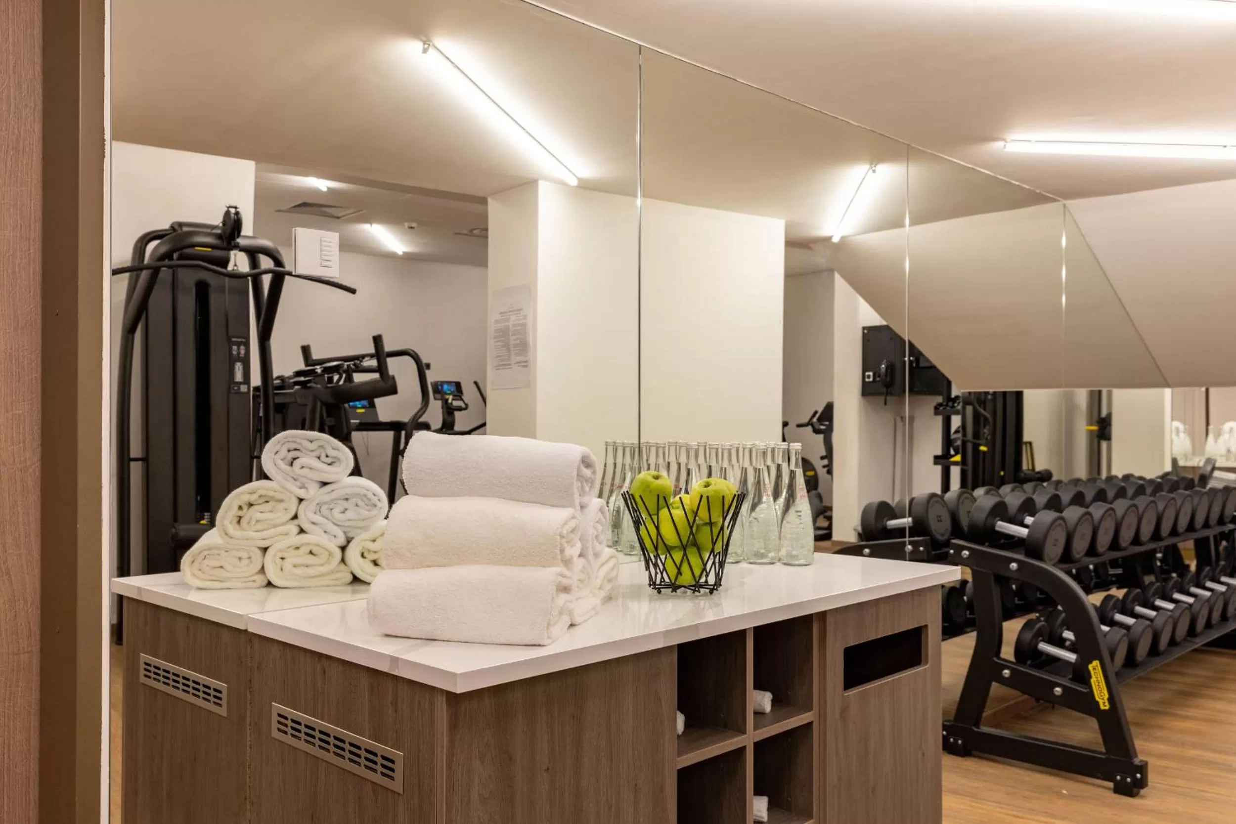 Fitness centre/facilities in Sheraton Nice