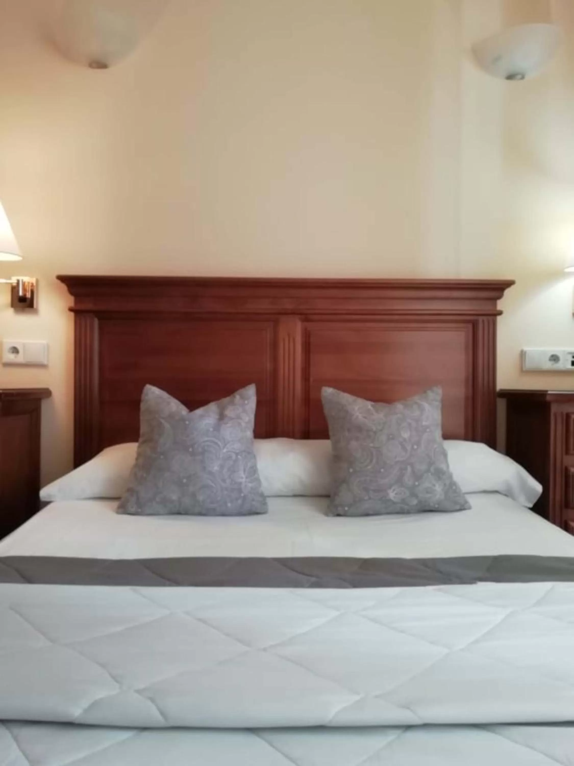 Bed in Hotel Plateros