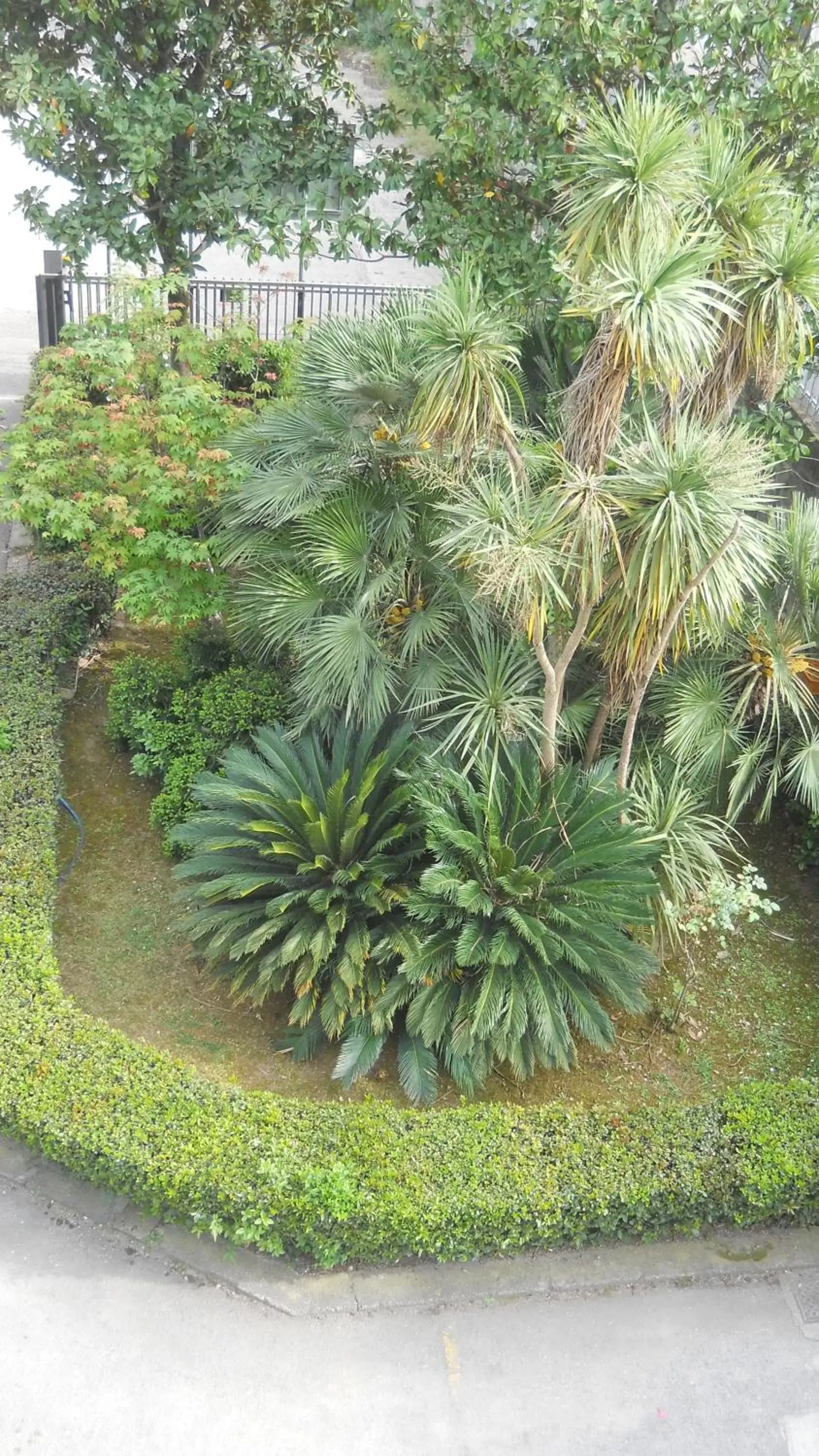 Bird's eye view, Garden in Hotel Diana