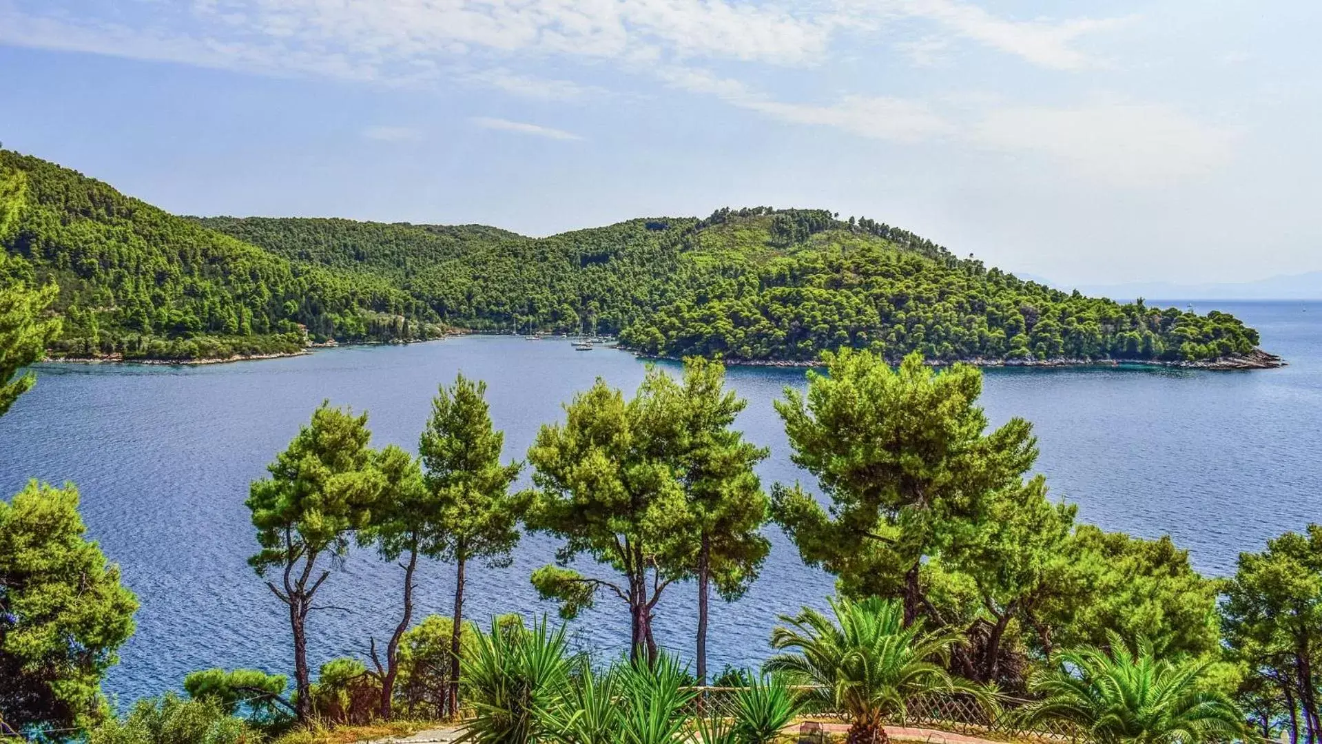 Nearby landmark in Rigas Hotel Skopelos