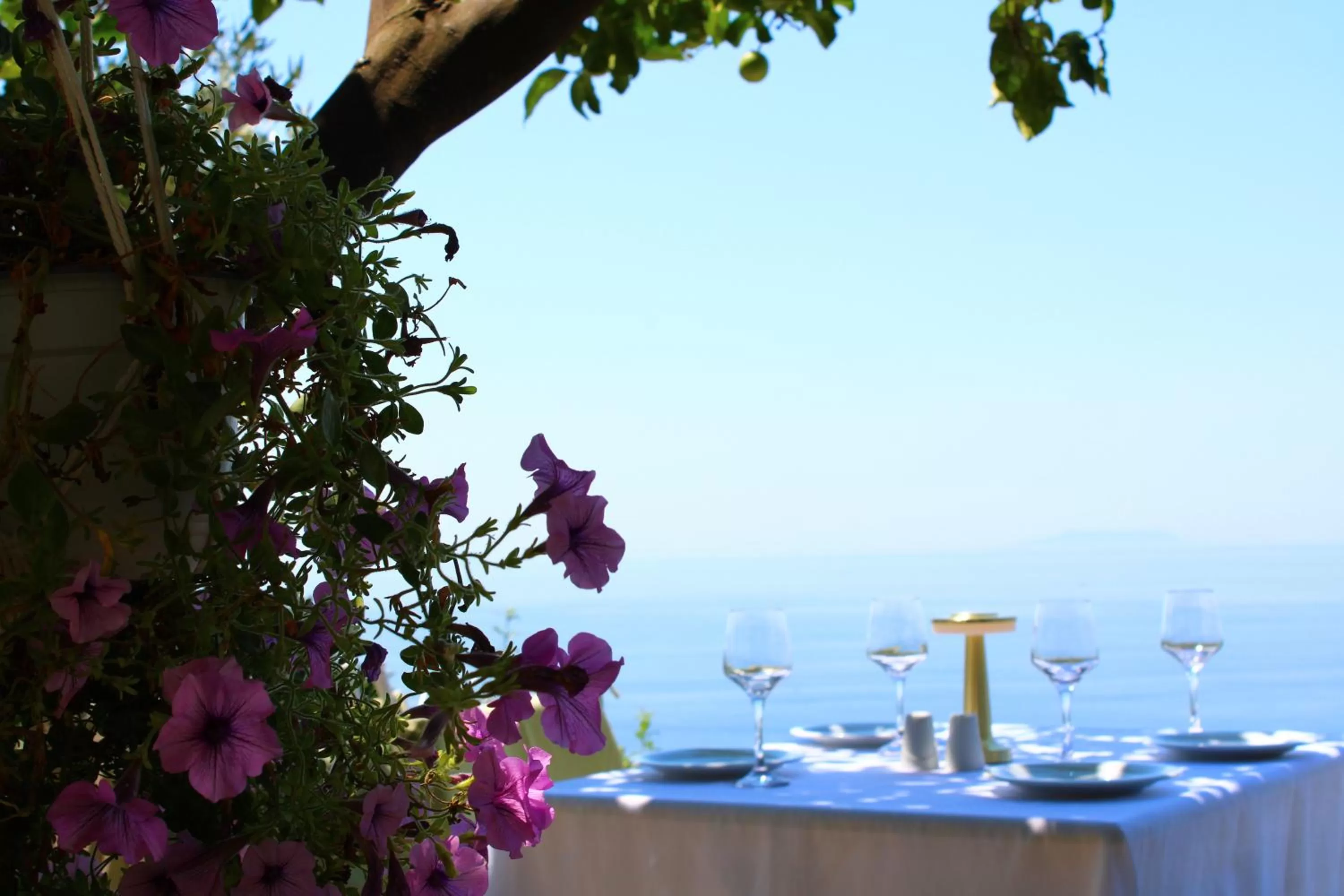 Natural landscape in Aphrodite's Garden